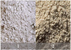 Plants 11 03519 i006