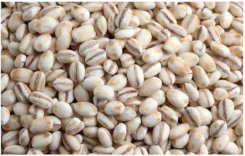 Plants 11 03519 i008