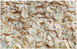 Plants 11 03519 i010