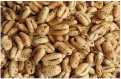 Plants 11 03519 i011