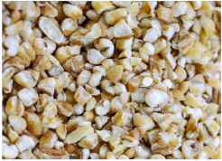 Plants 11 03519 i014