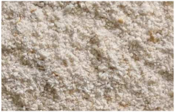 Plants 11 03519 i015