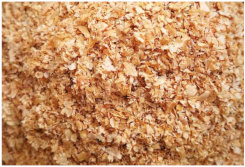 Plants 11 03519 i016