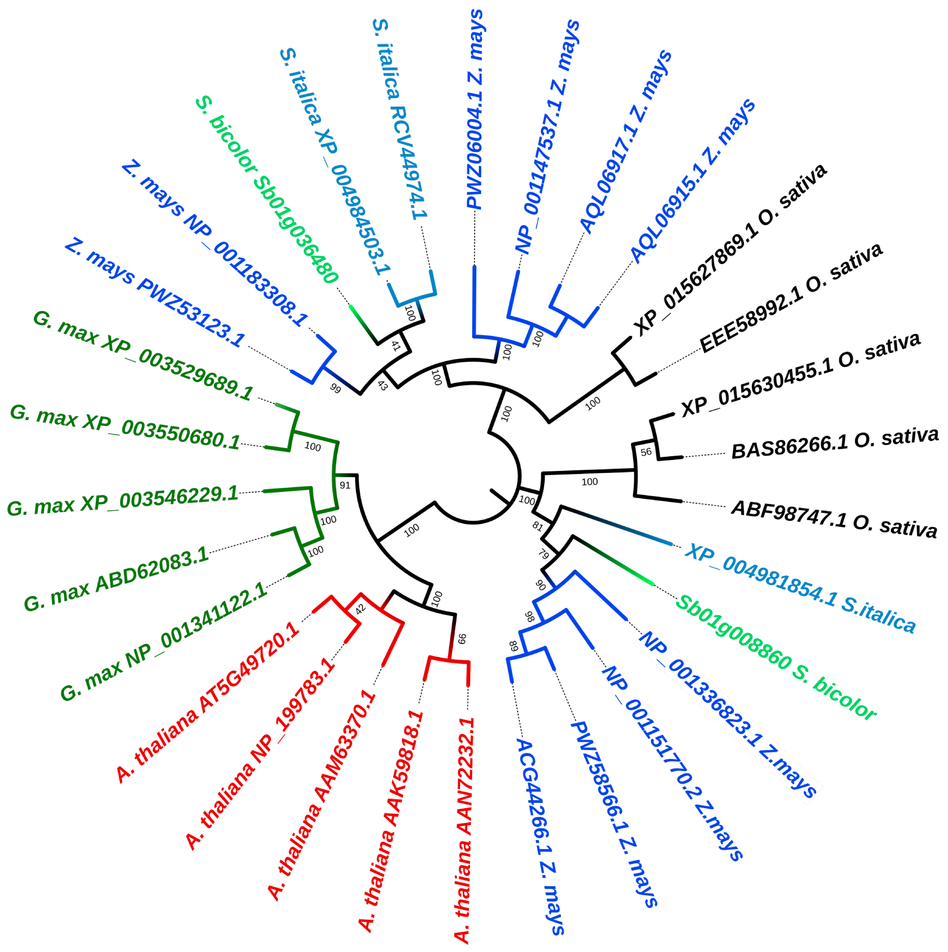 Plants 11 03531 g002