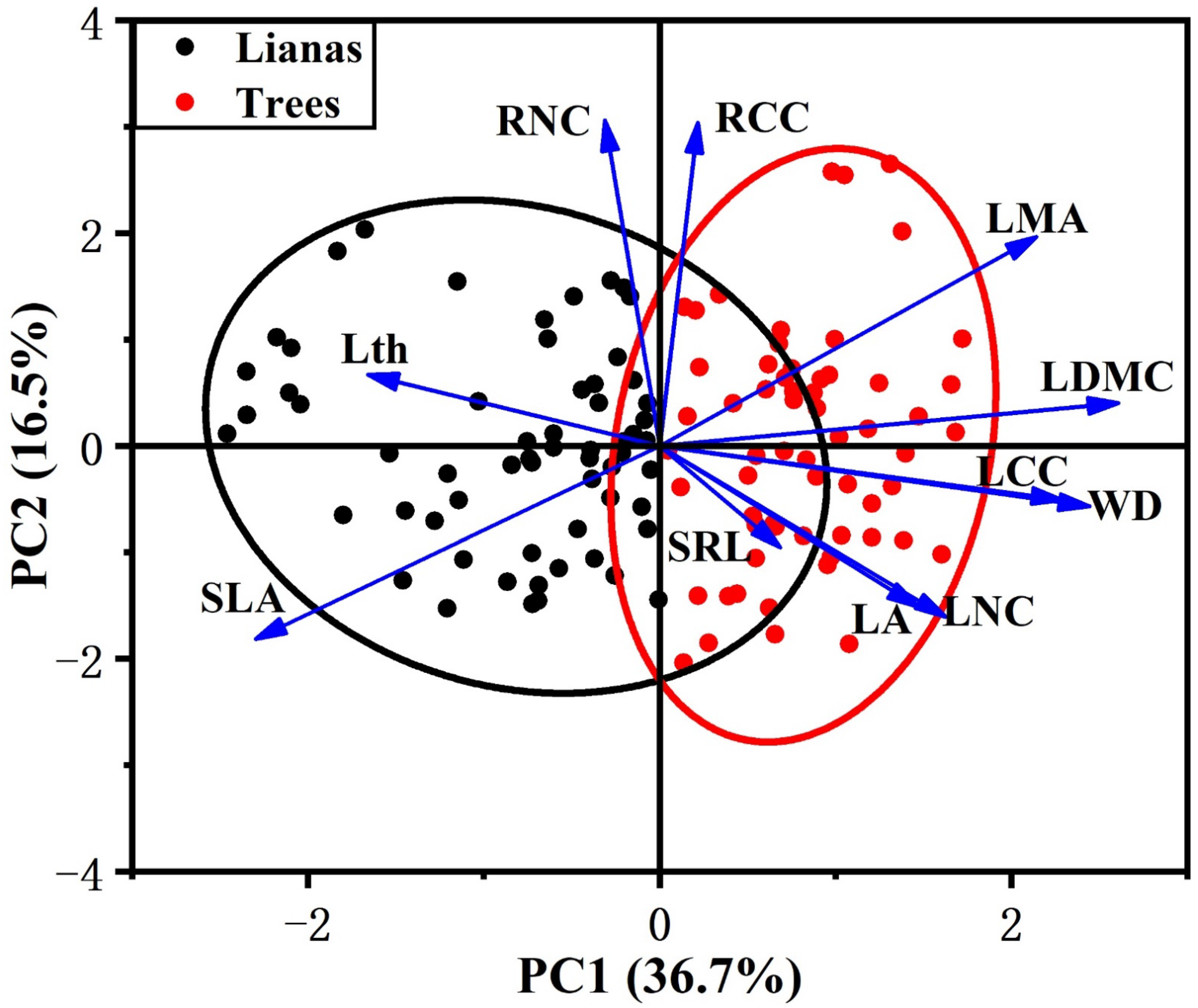 Plants 11 03543 g001