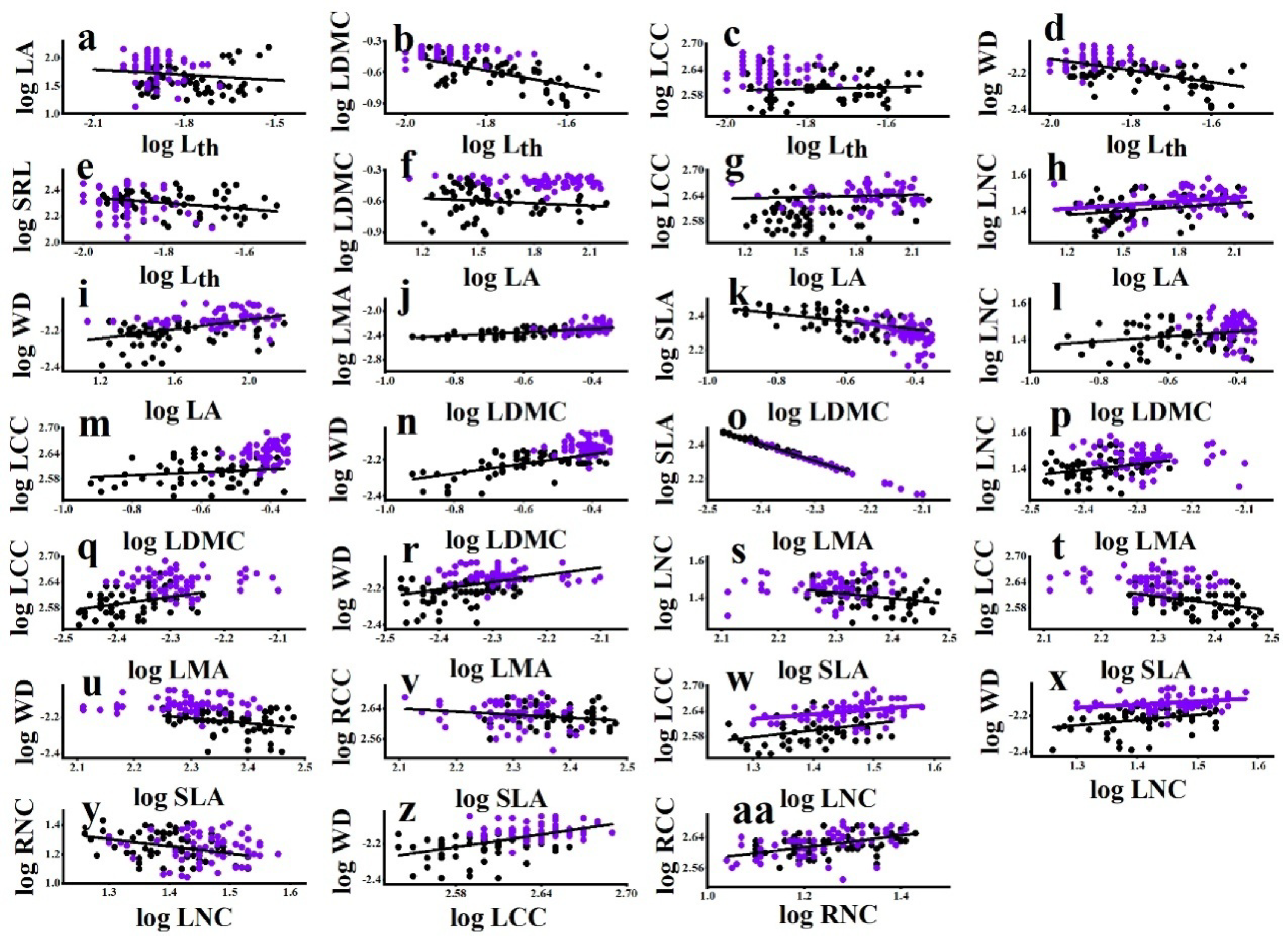 Plants 11 03543 g003