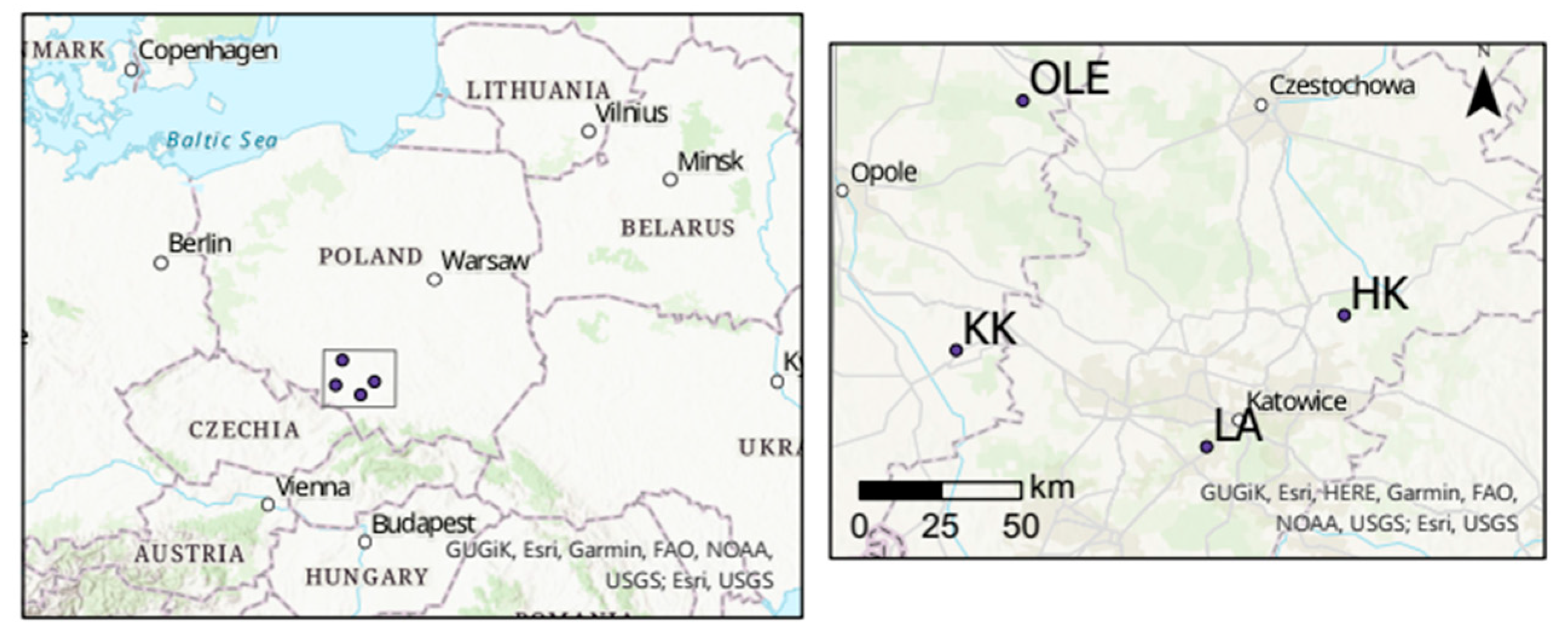 Plants 11 03569 g012