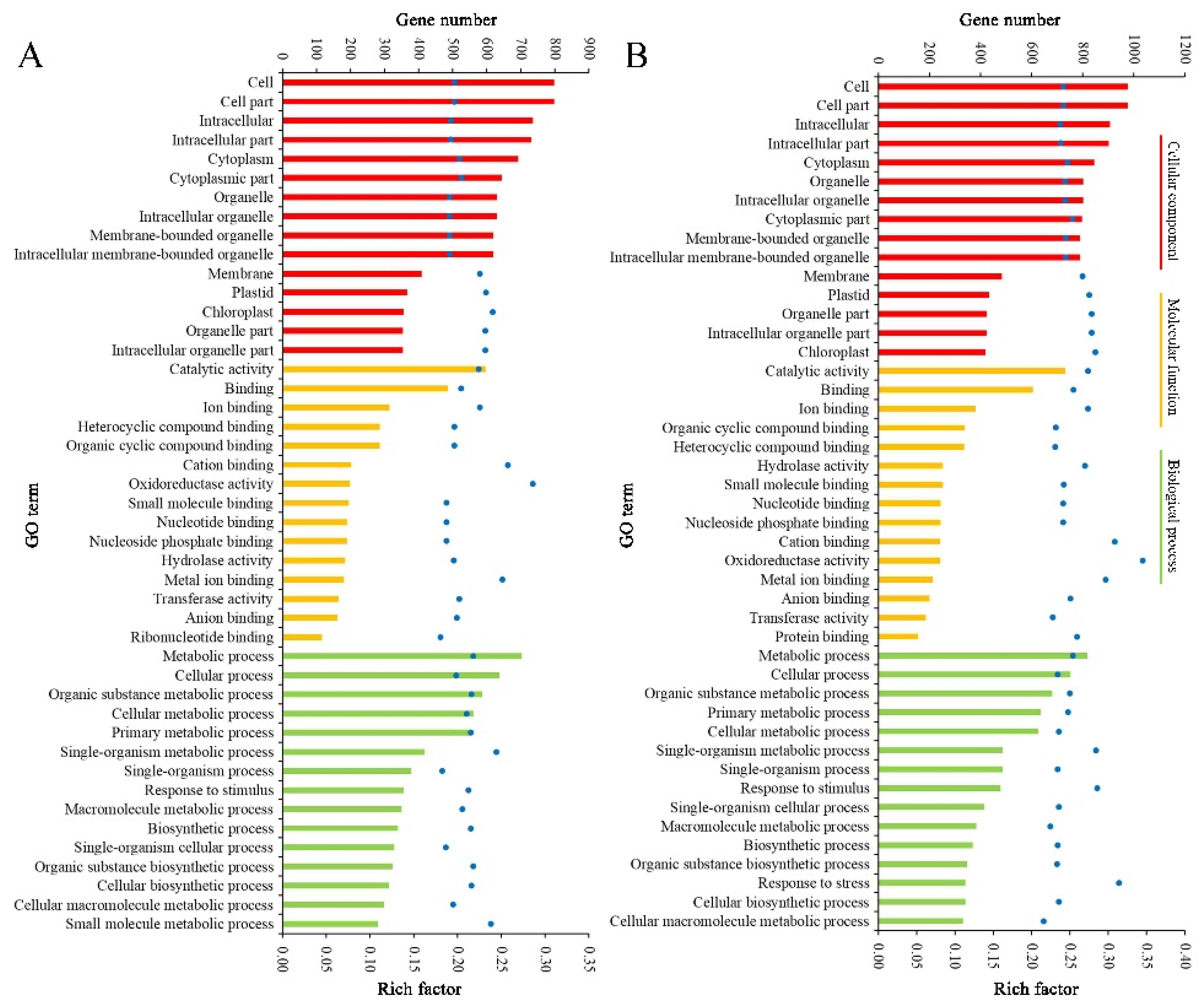 Plants 11 03570 g006 Plants 11 03570 g006