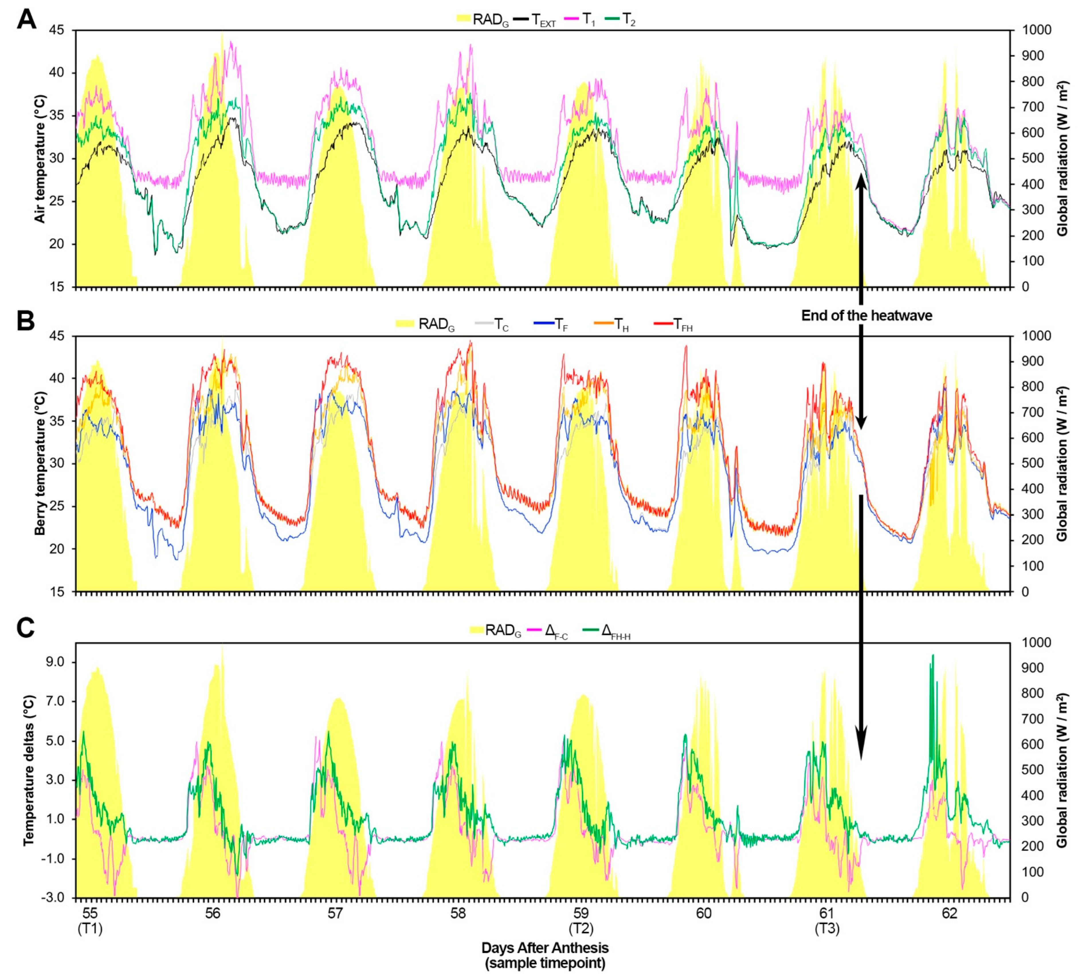 Plants 11 03574 g001