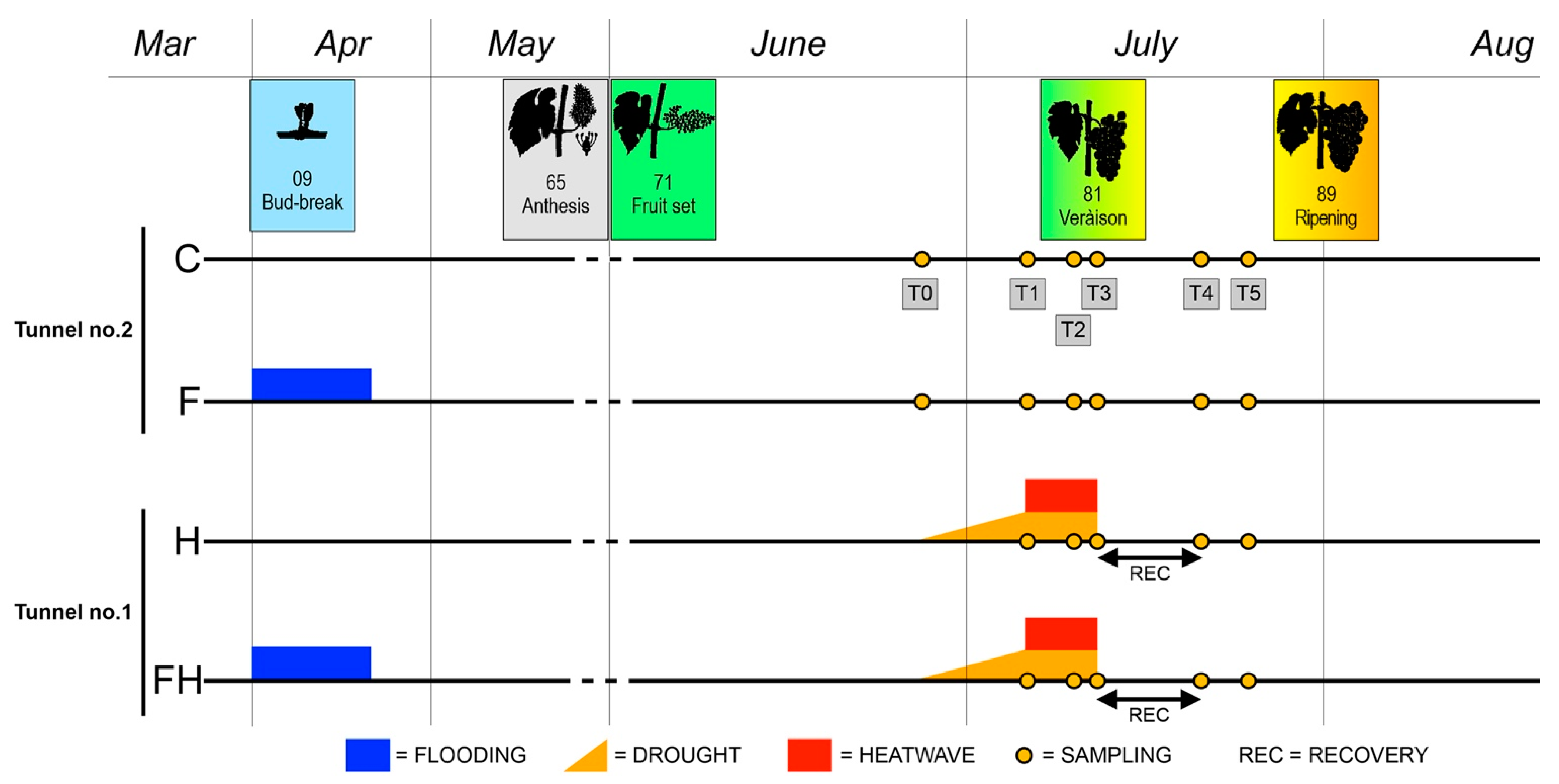 Plants 11 03574 g012