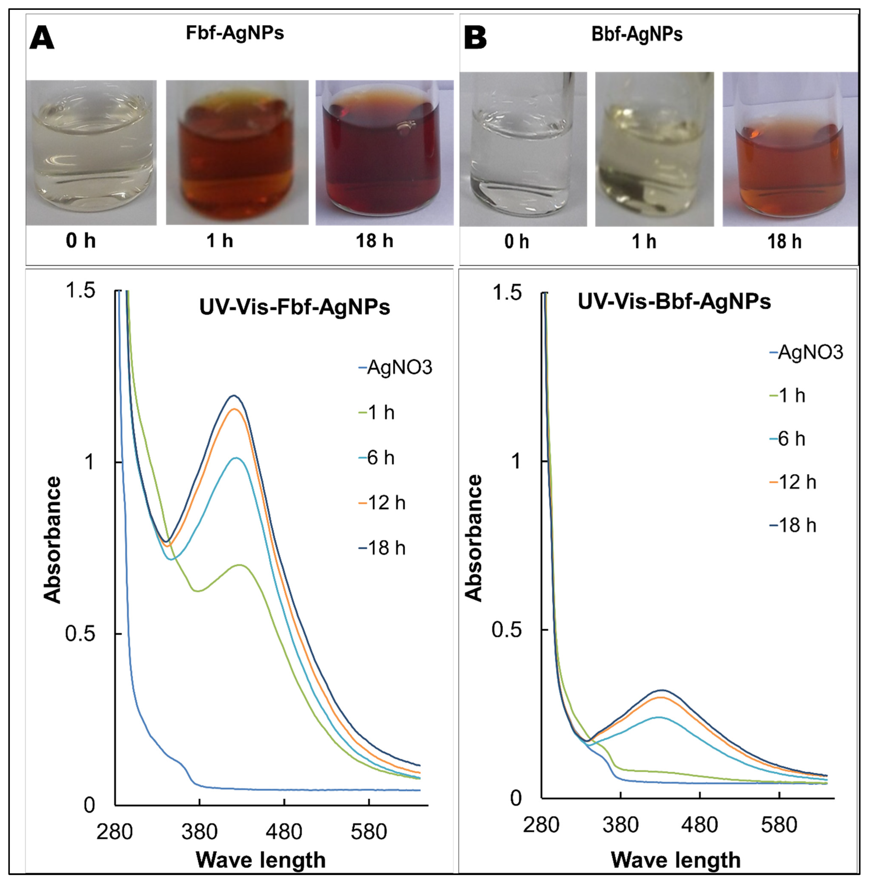 Plants 11 03575 g001 Plants 11 03575 g001
