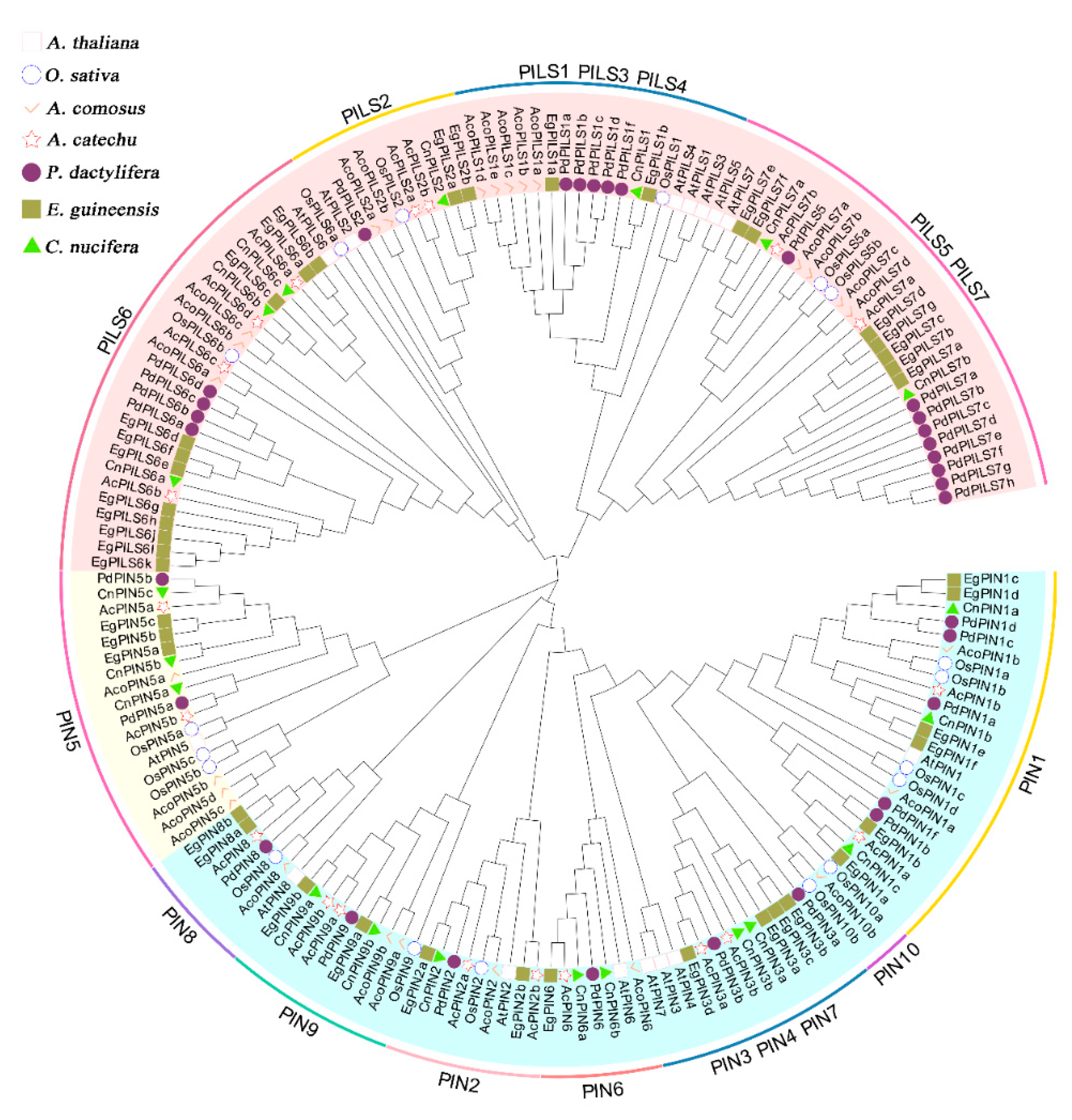 Plants 12 00033 g001