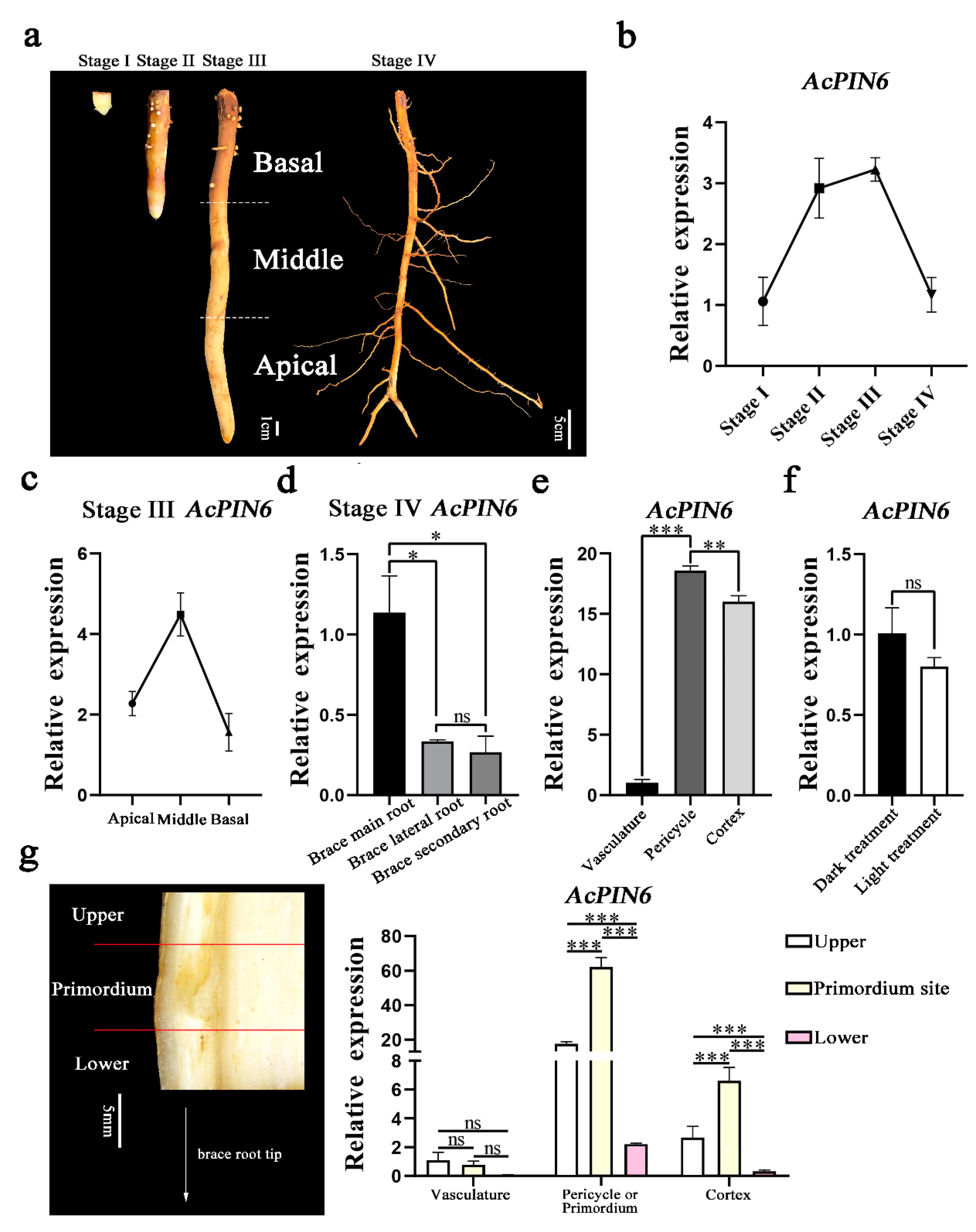 Plants 12 00033 g004