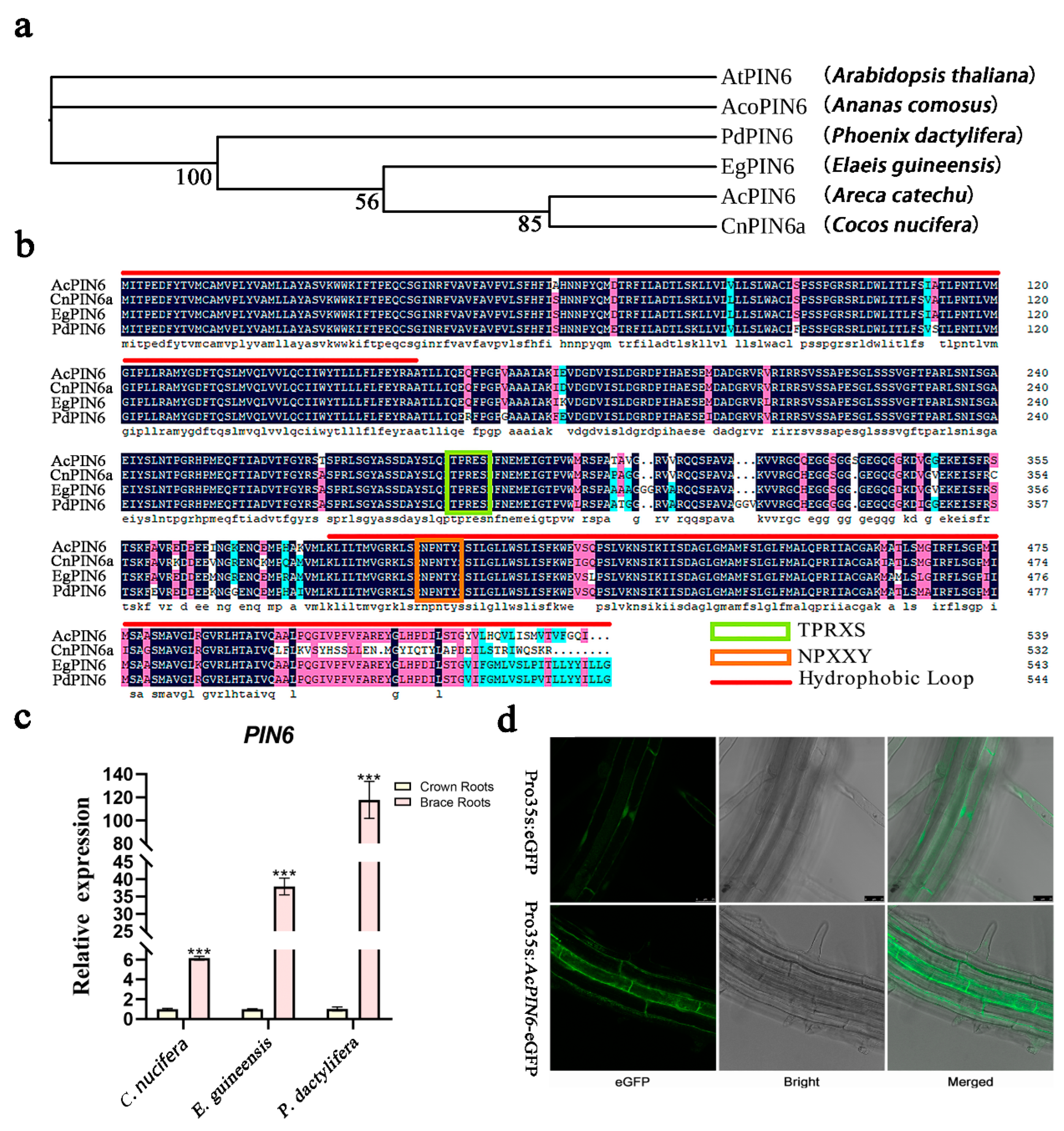 Plants 12 00033 g005