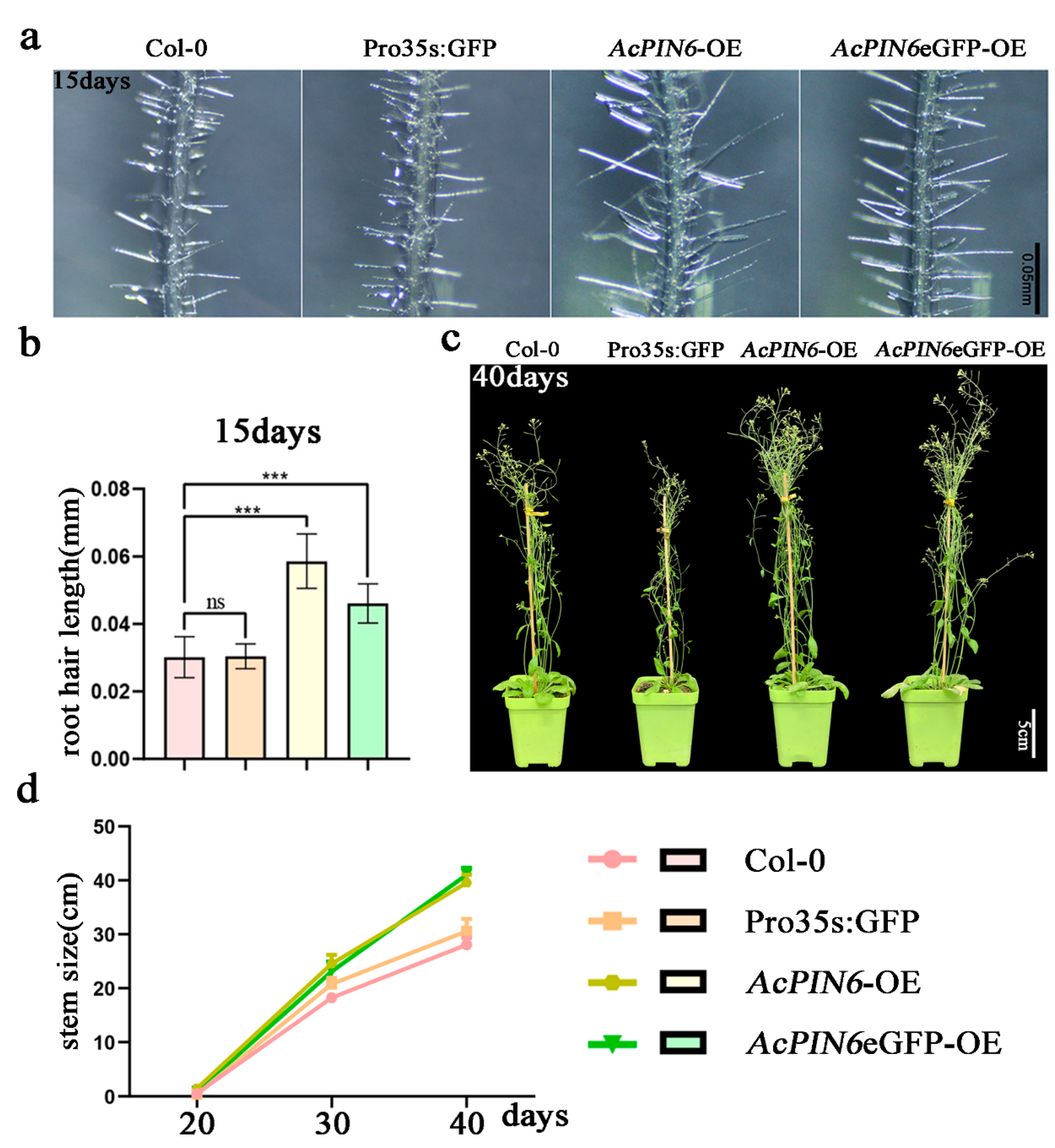 Plants 12 00033 g006