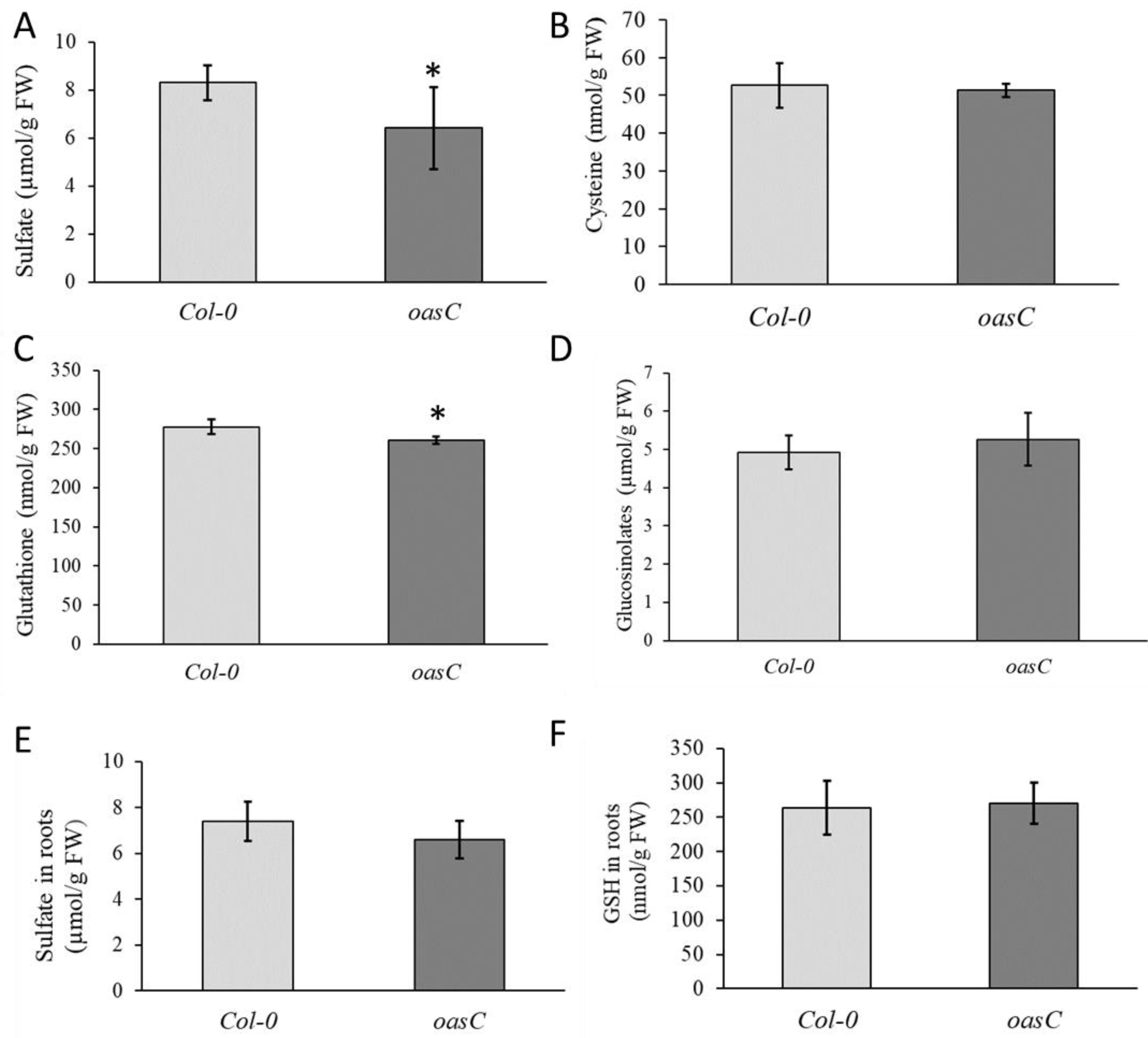 Plants 12 00035 g001