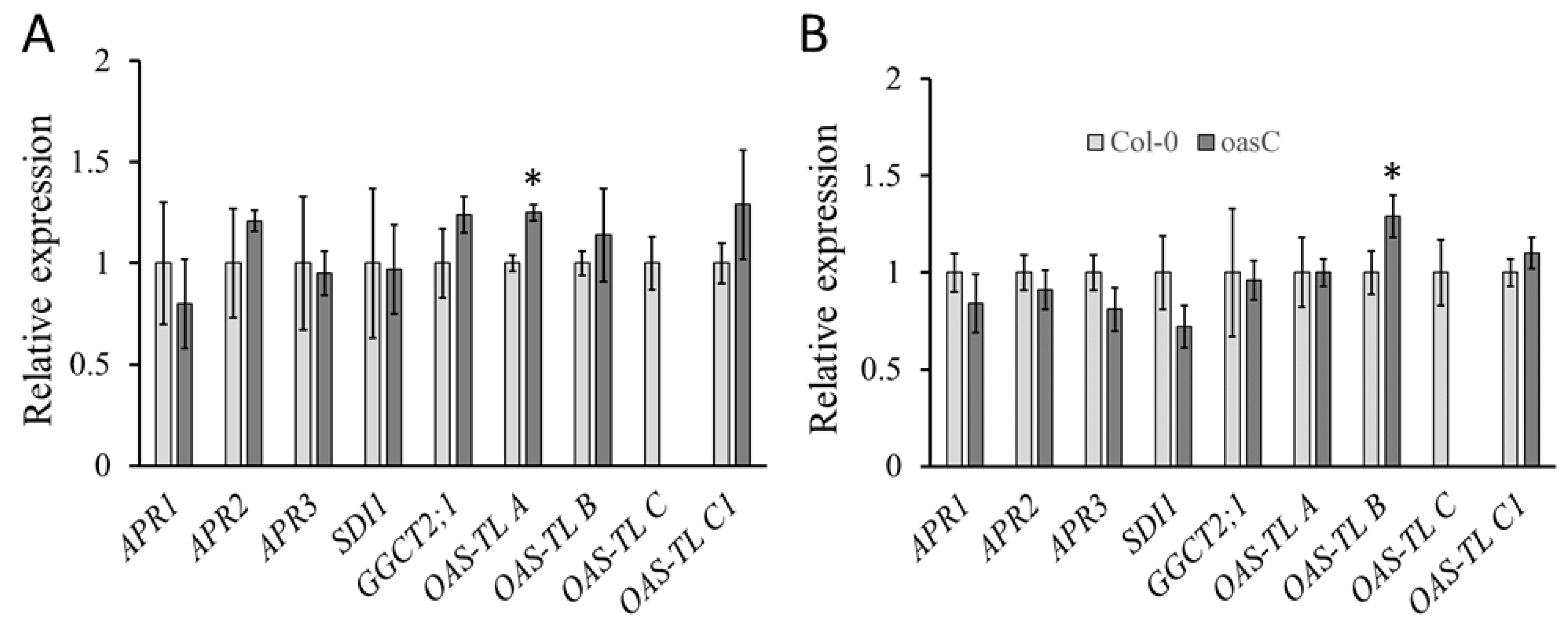 Plants 12 00035 g003