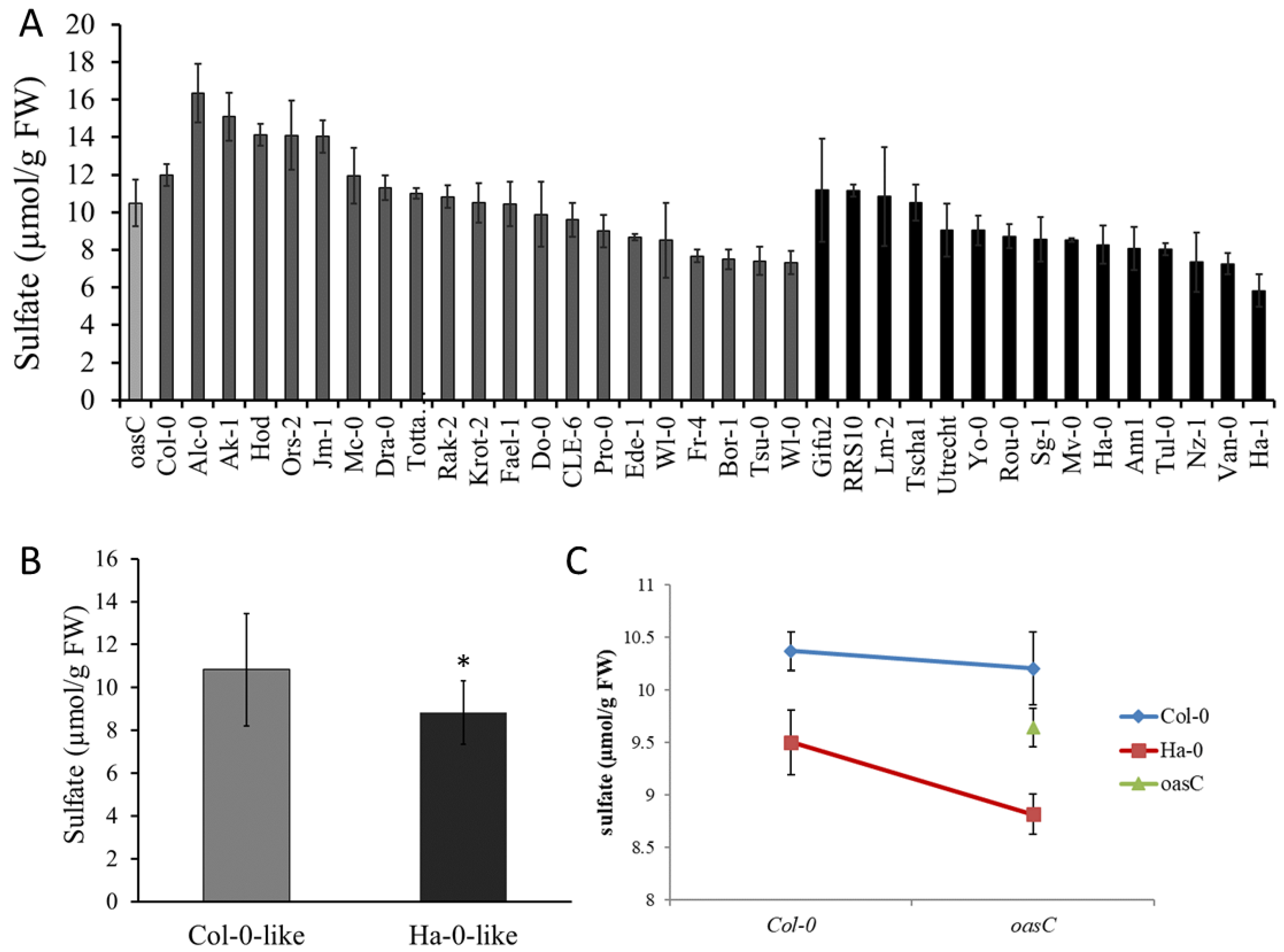 Plants 12 00035 g006