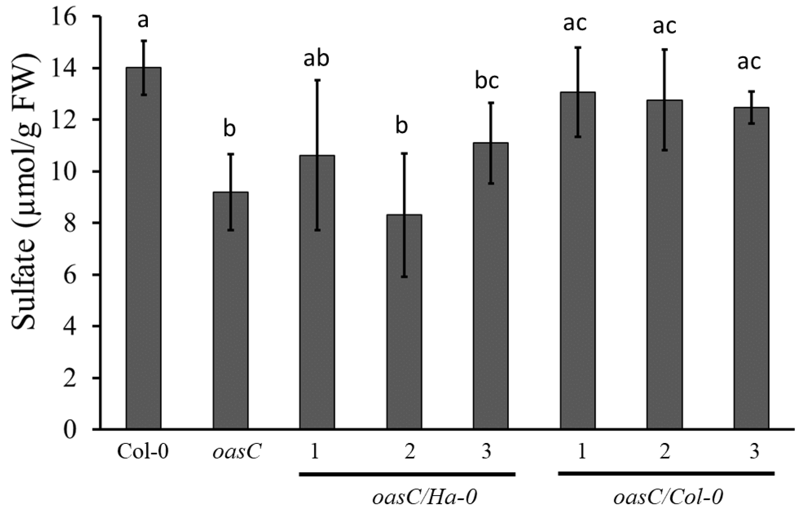 Plants 12 00035 g007