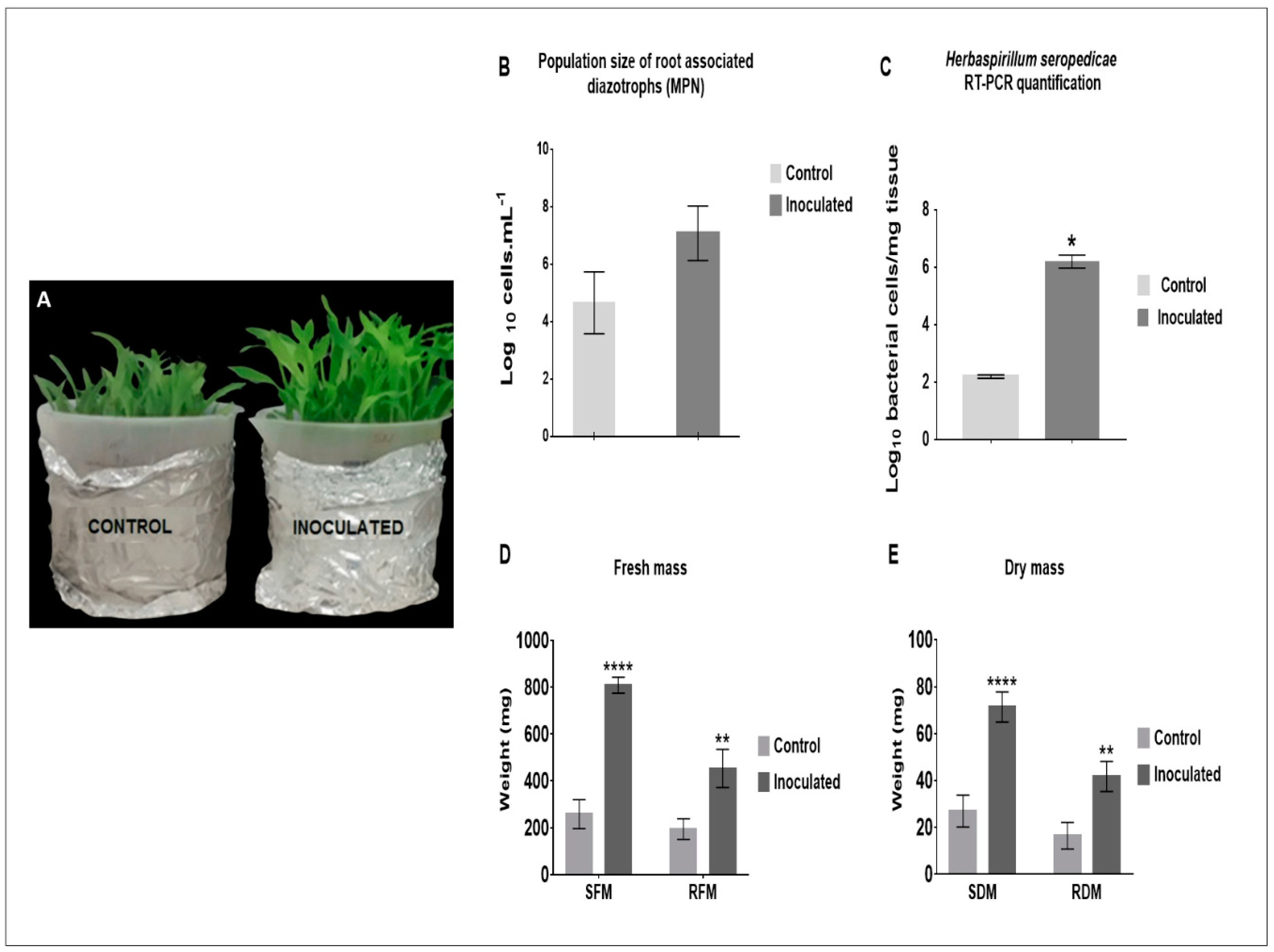 Plants 12 00048 g001 Plants 12 00048 g001