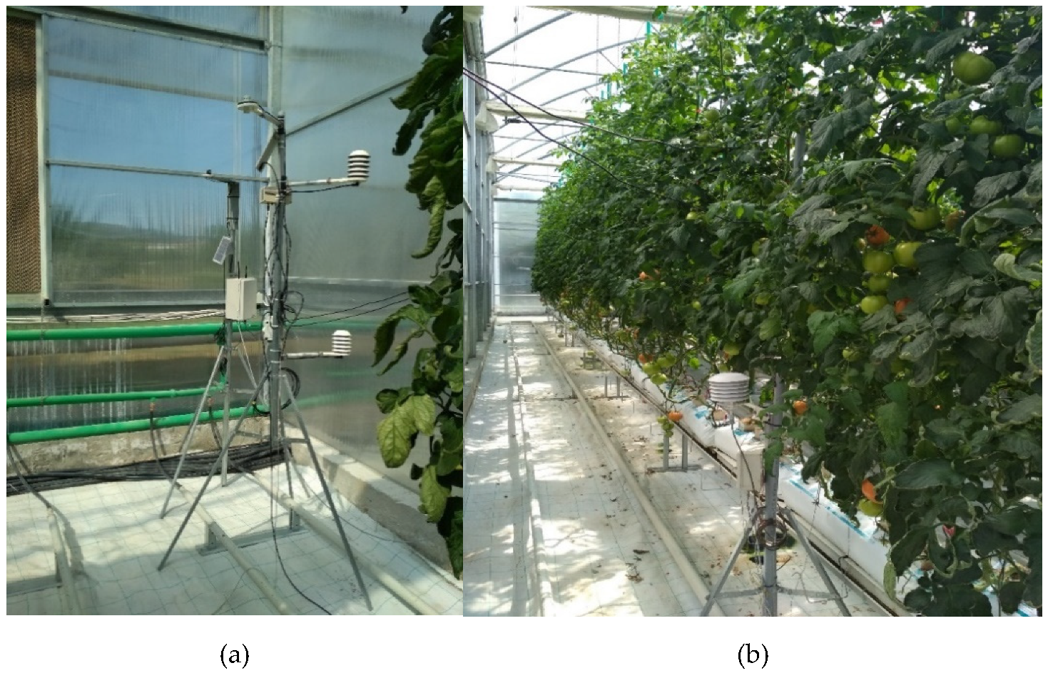 Plants 12 00052 g001