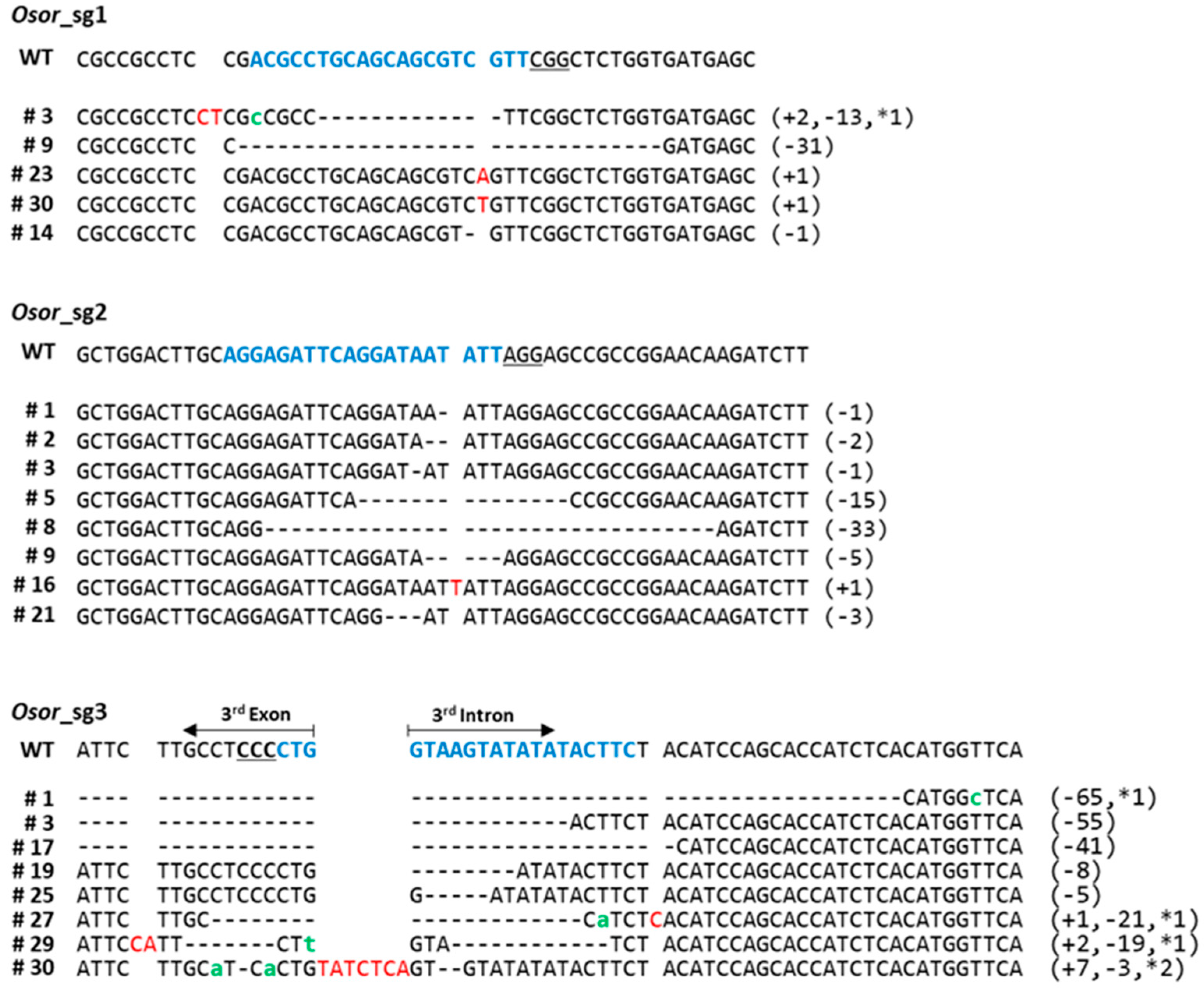 Plants 12 00056 g002
