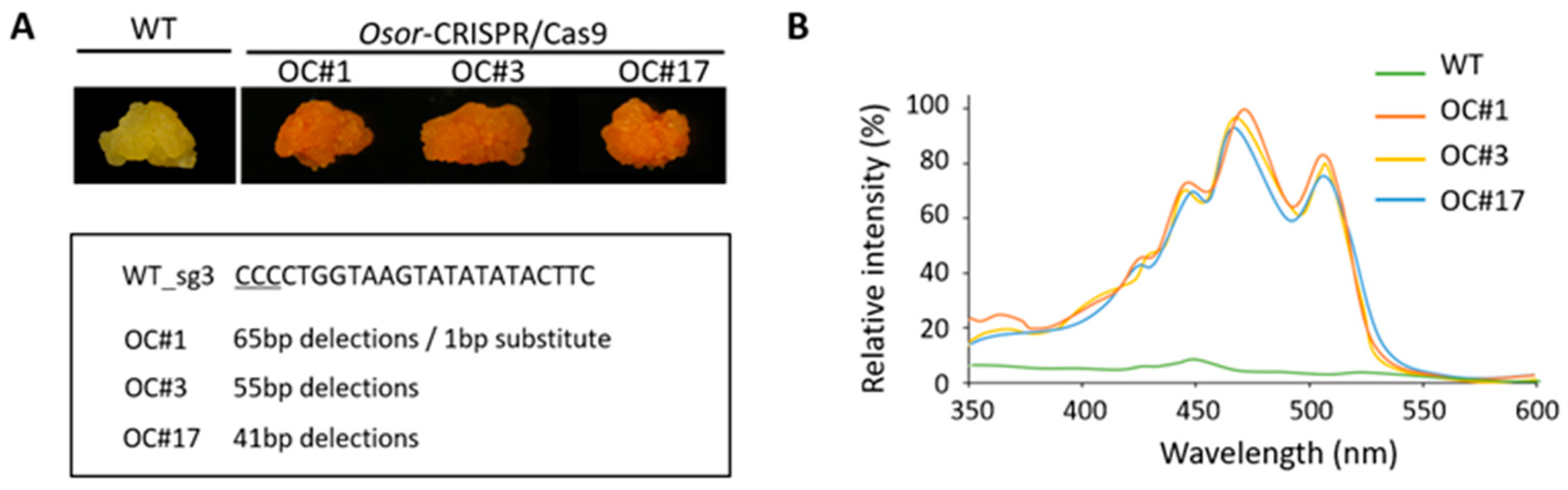 Plants 12 00056 g003