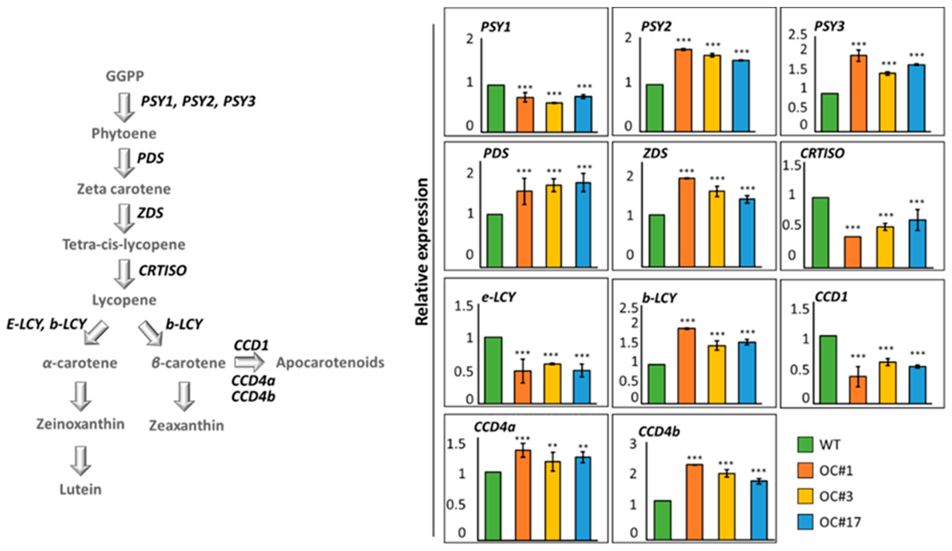 Plants 12 00056 g005