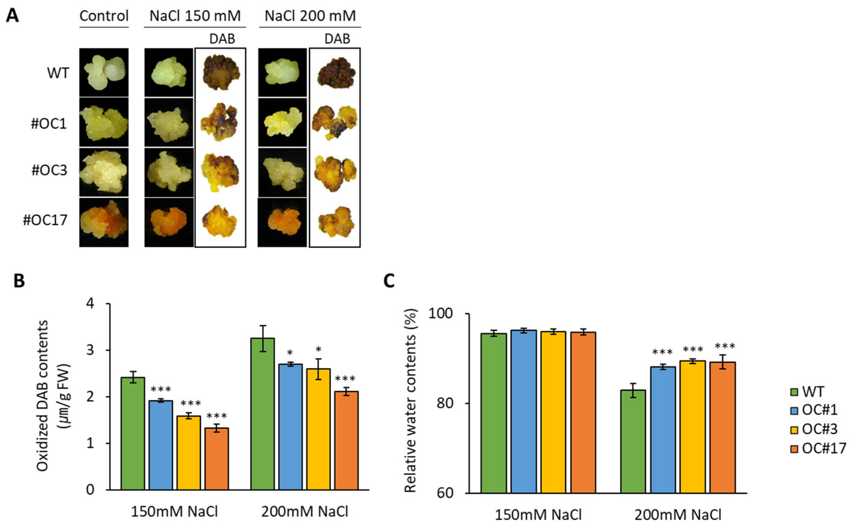 Plants 12 00056 g006