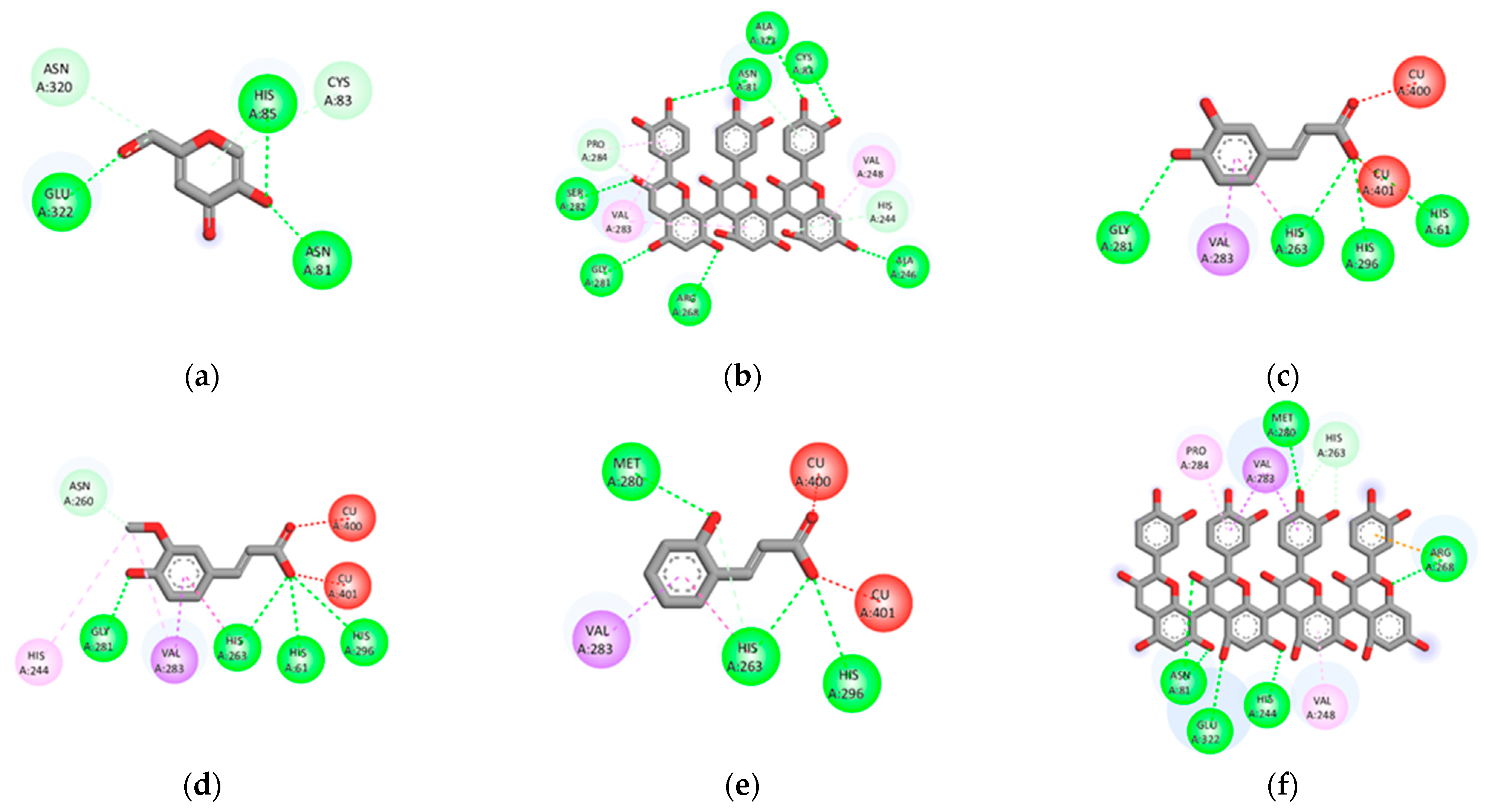 Plants 12 00065 g004 Plants 12 00065 g004