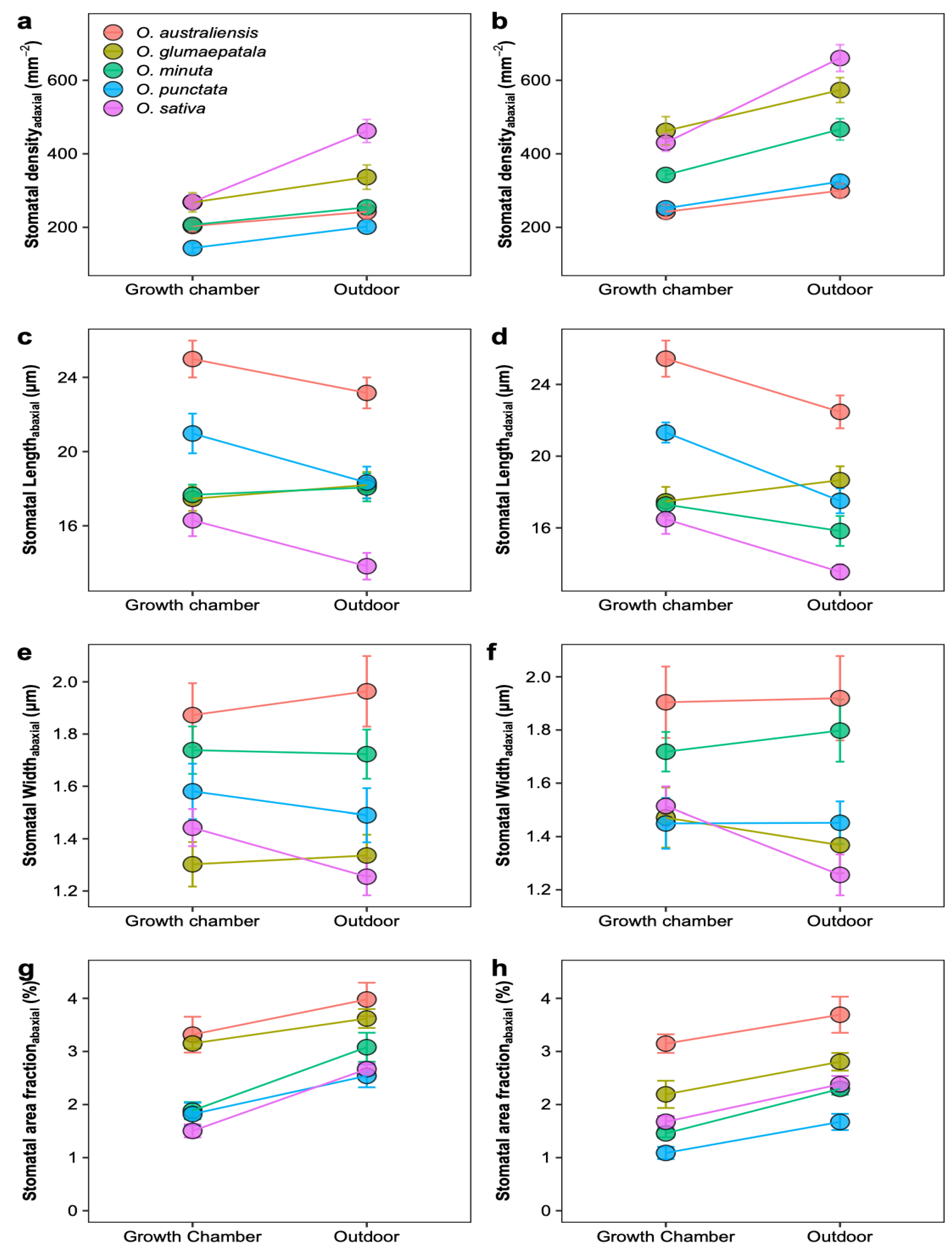 Plants 12 00066 g003 Plants 12 00066 g003