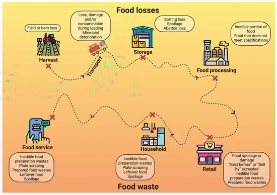 Plants 12 00074 g001