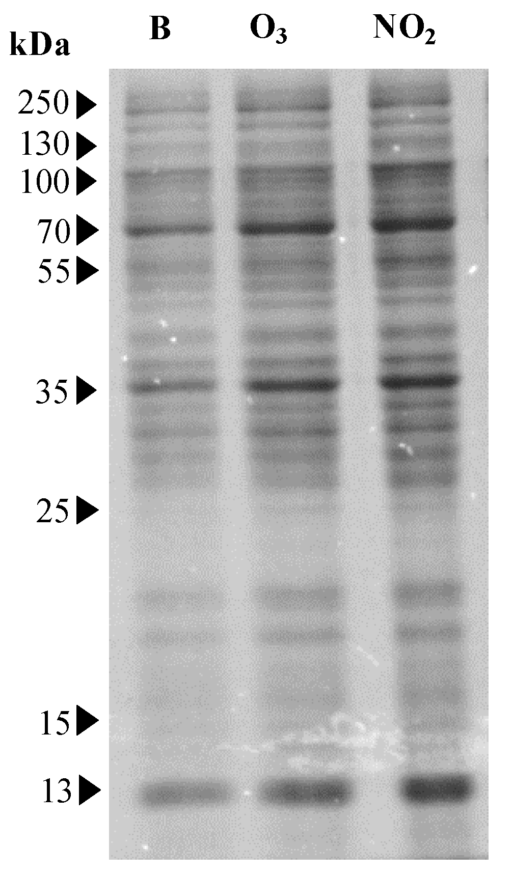 Plants 12 00076 g002 Plants 12 00076 g002