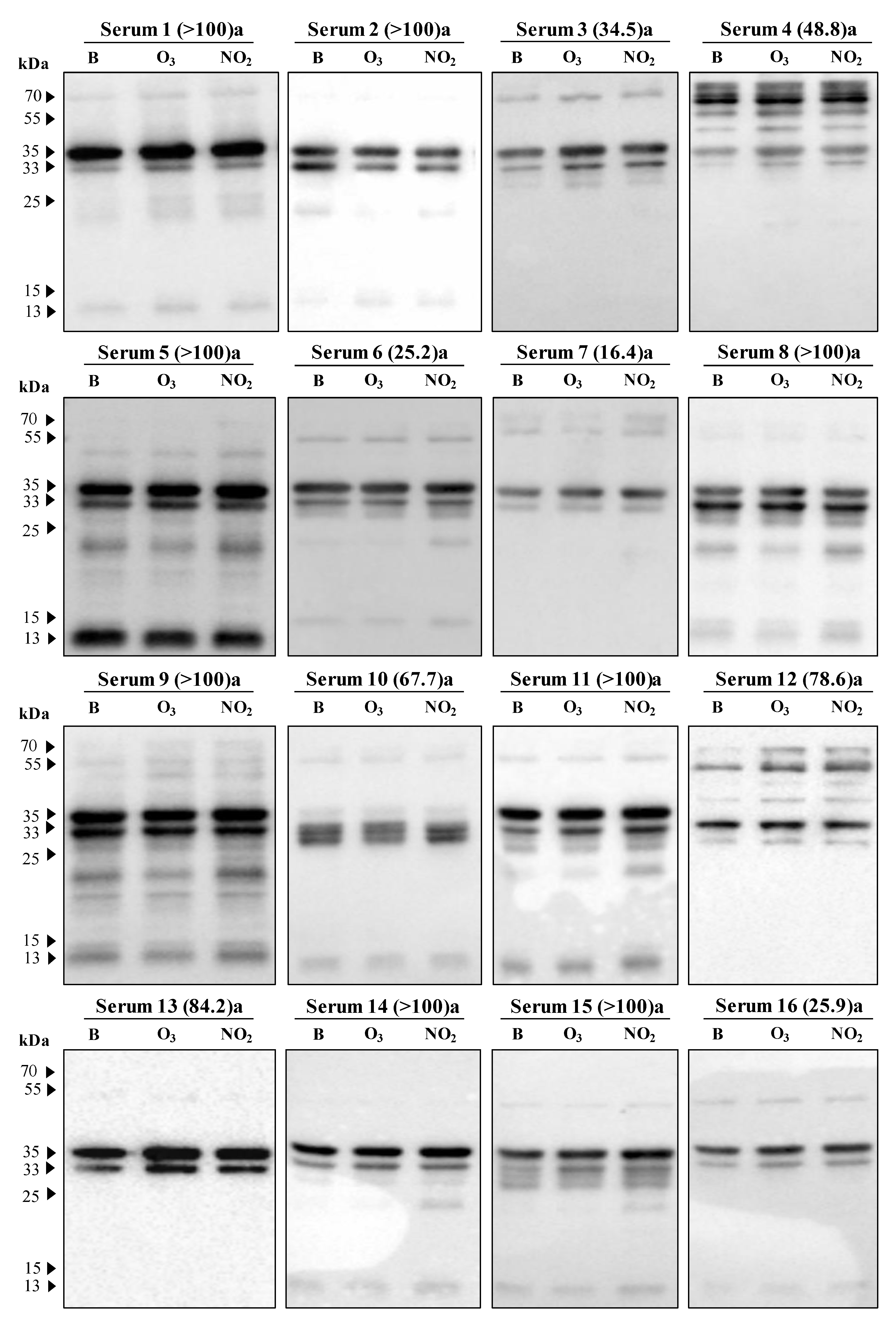 Plants 12 00076 g005a Plants 12 00076 g005a