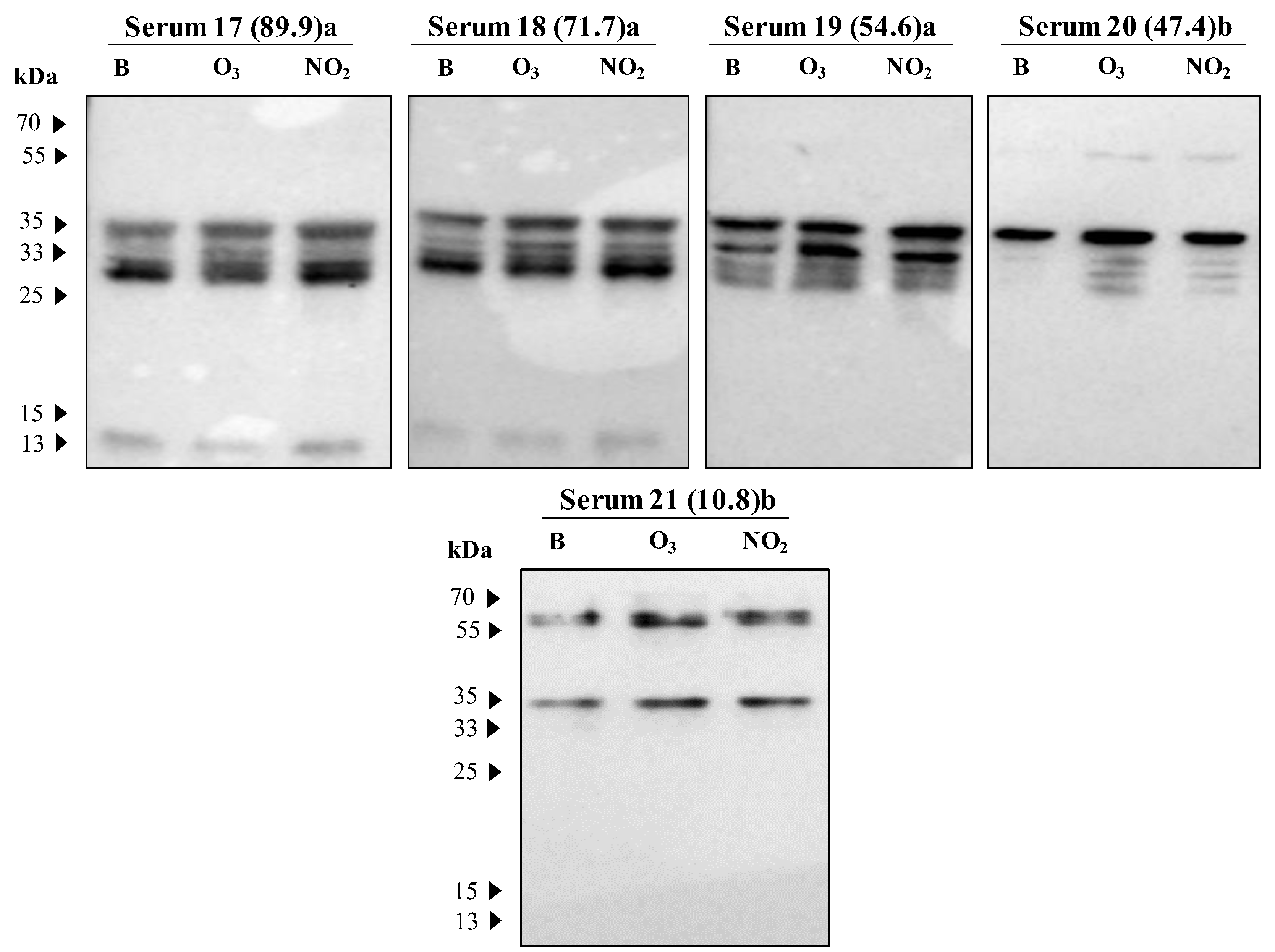 Plants 12 00076 g005b Plants 12 00076 g005b