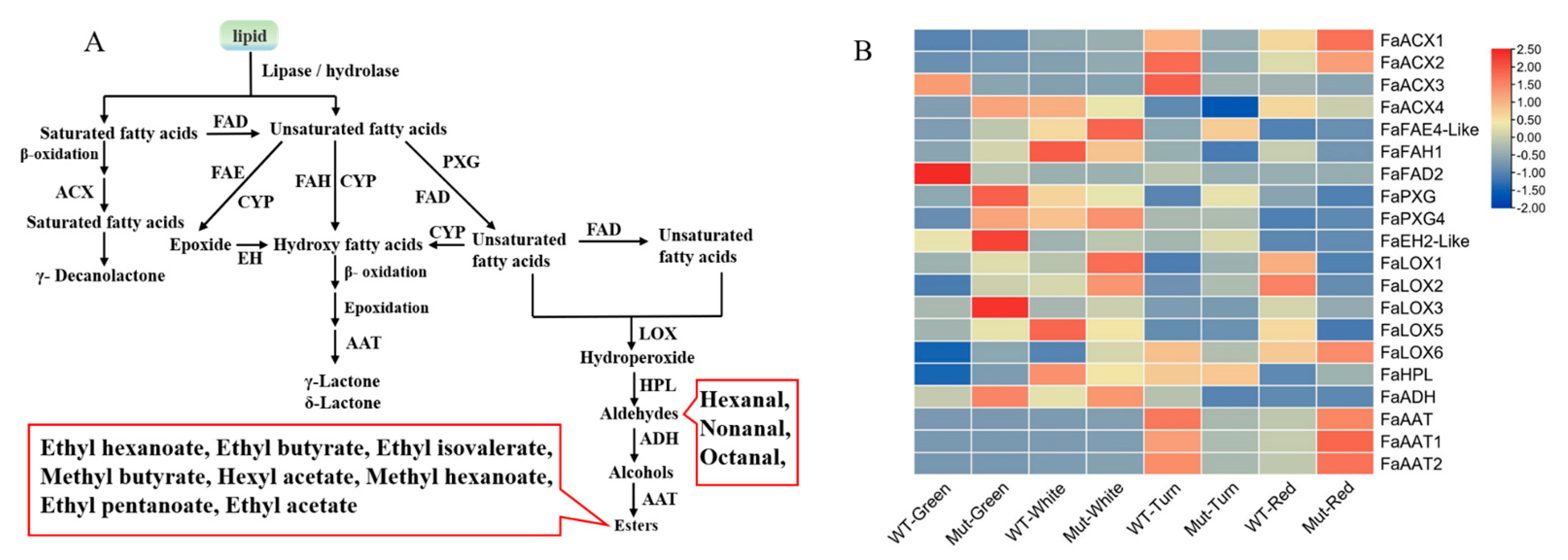 Plants 12 00082 g005