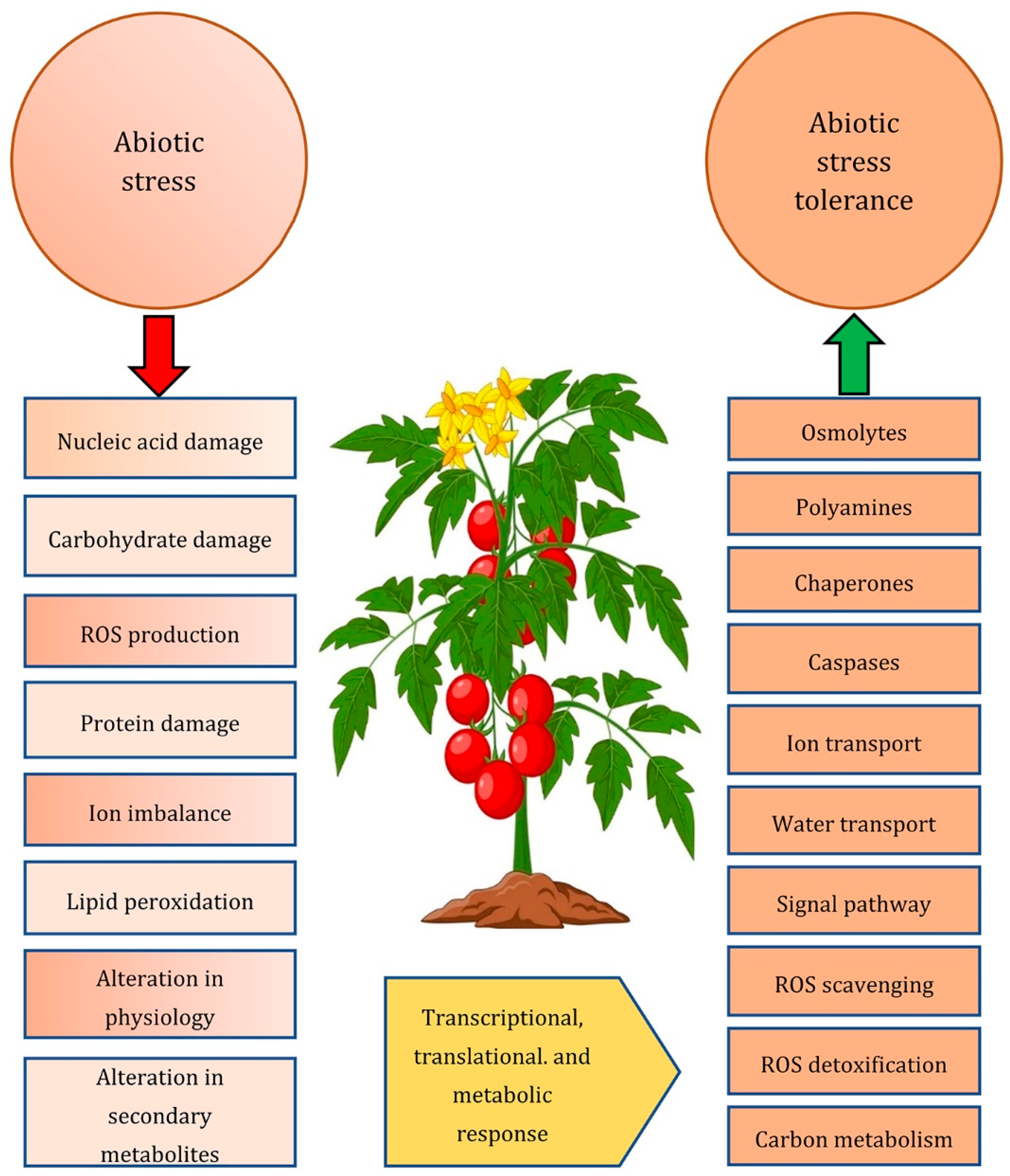 Plants 12 00086 g001