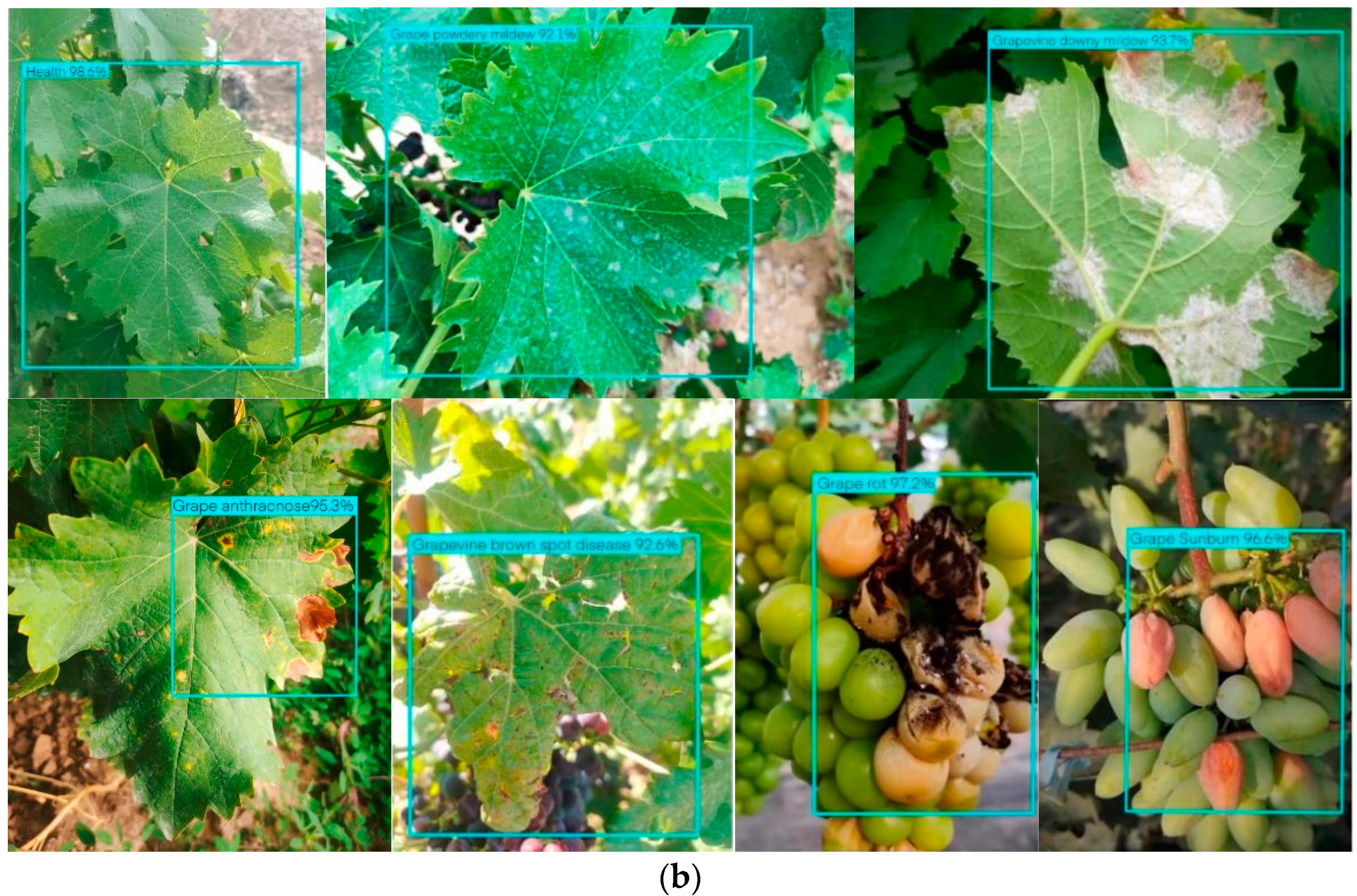 Plants 12 00106 g010b Plants 12 00106 g010b