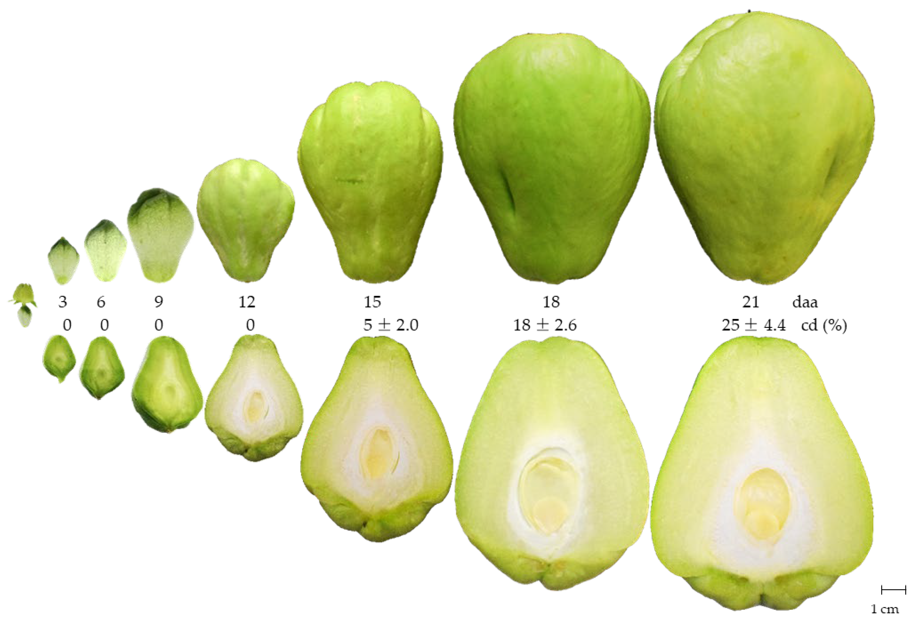 Plants 12 00108 g002 Plants 12 00108 g002