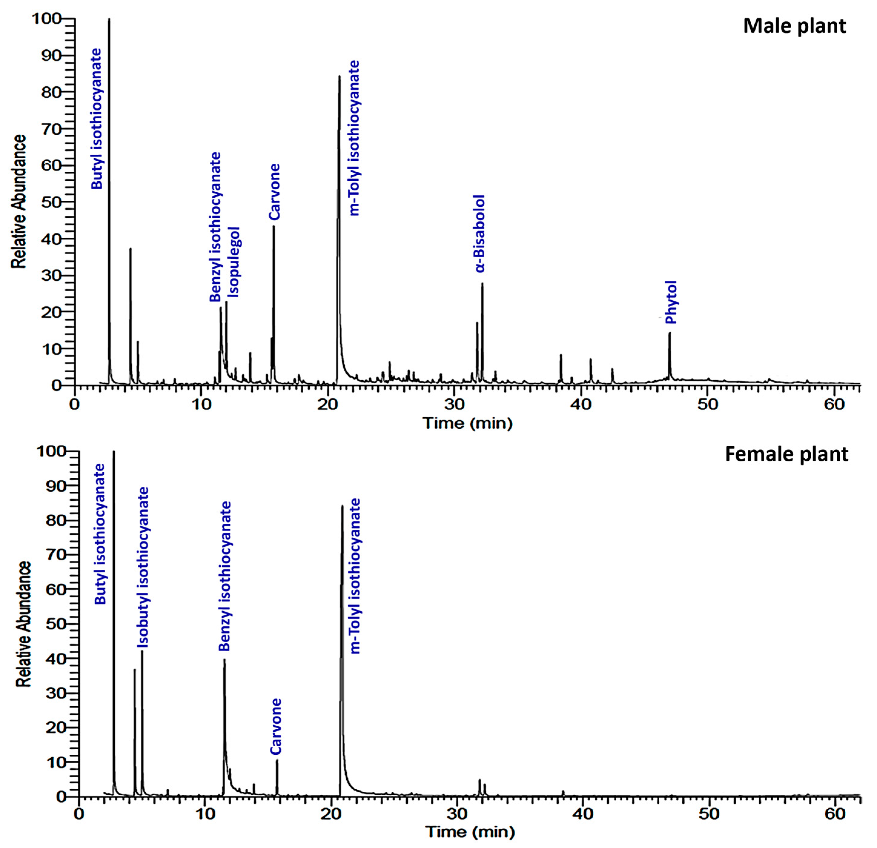 Plants 12 00110 g001