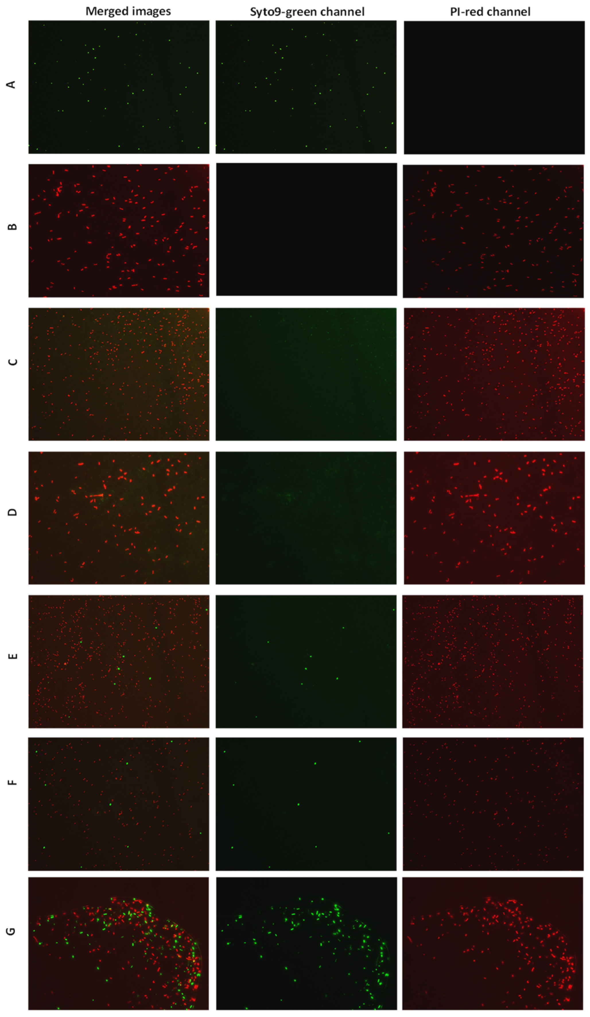 Plants 12 00113 g004