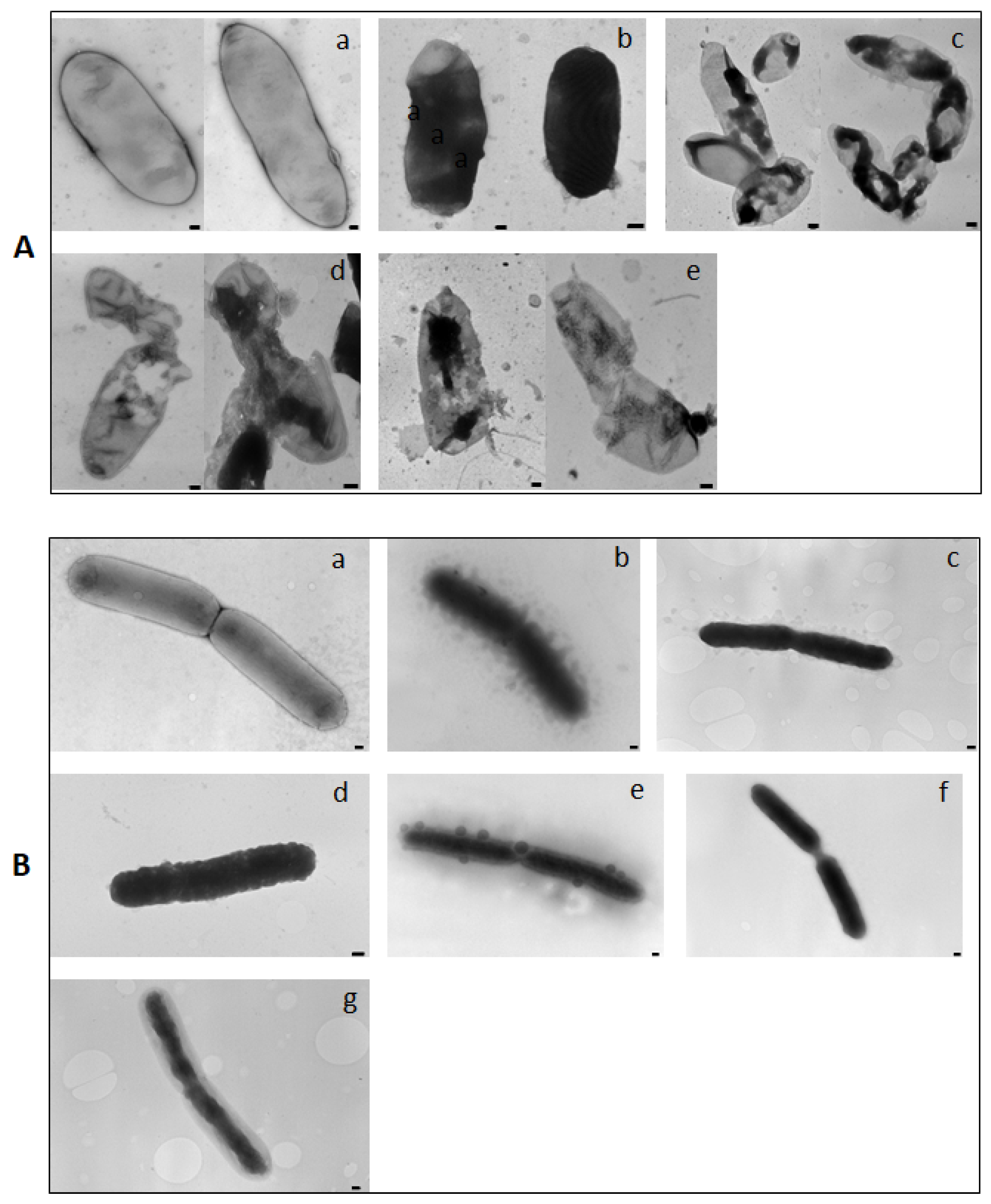 Plants 12 00113 g005
