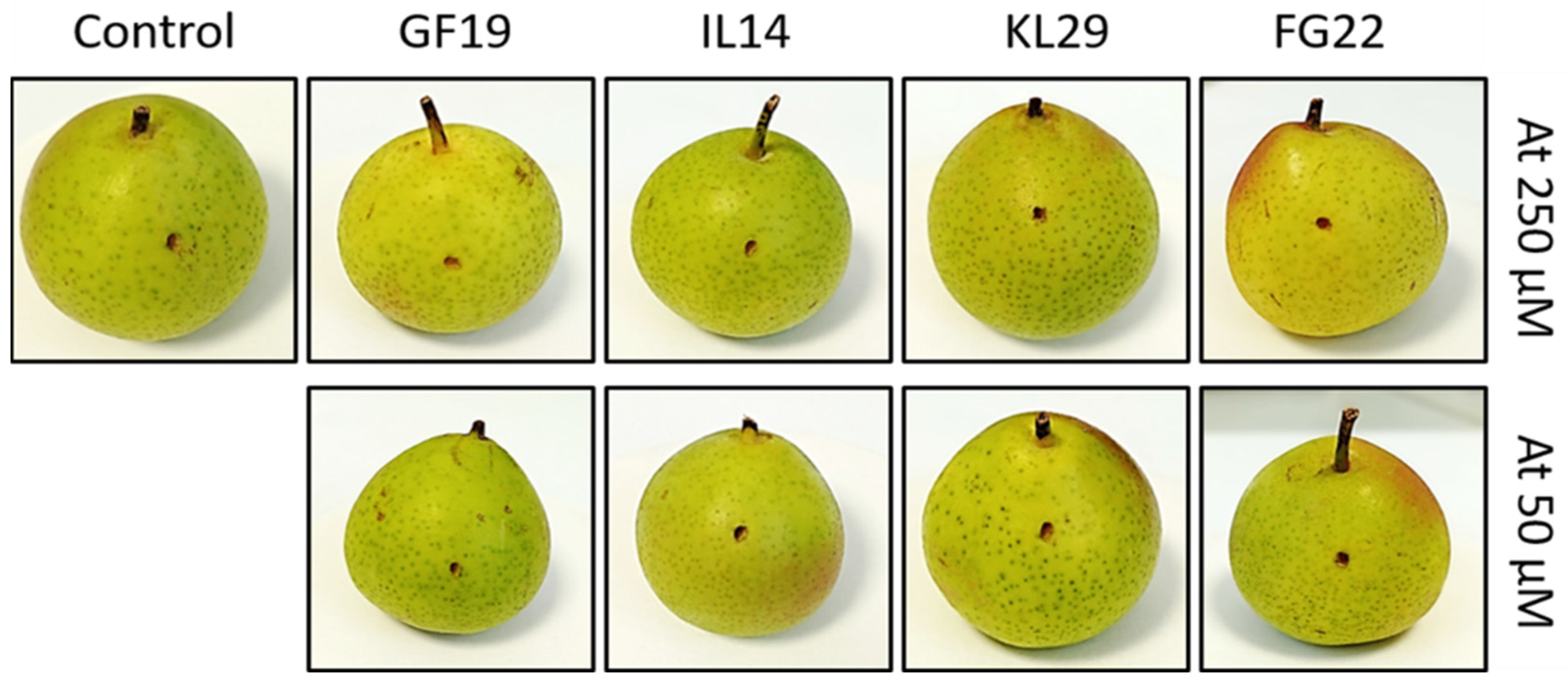 Plants 12 00113 g006