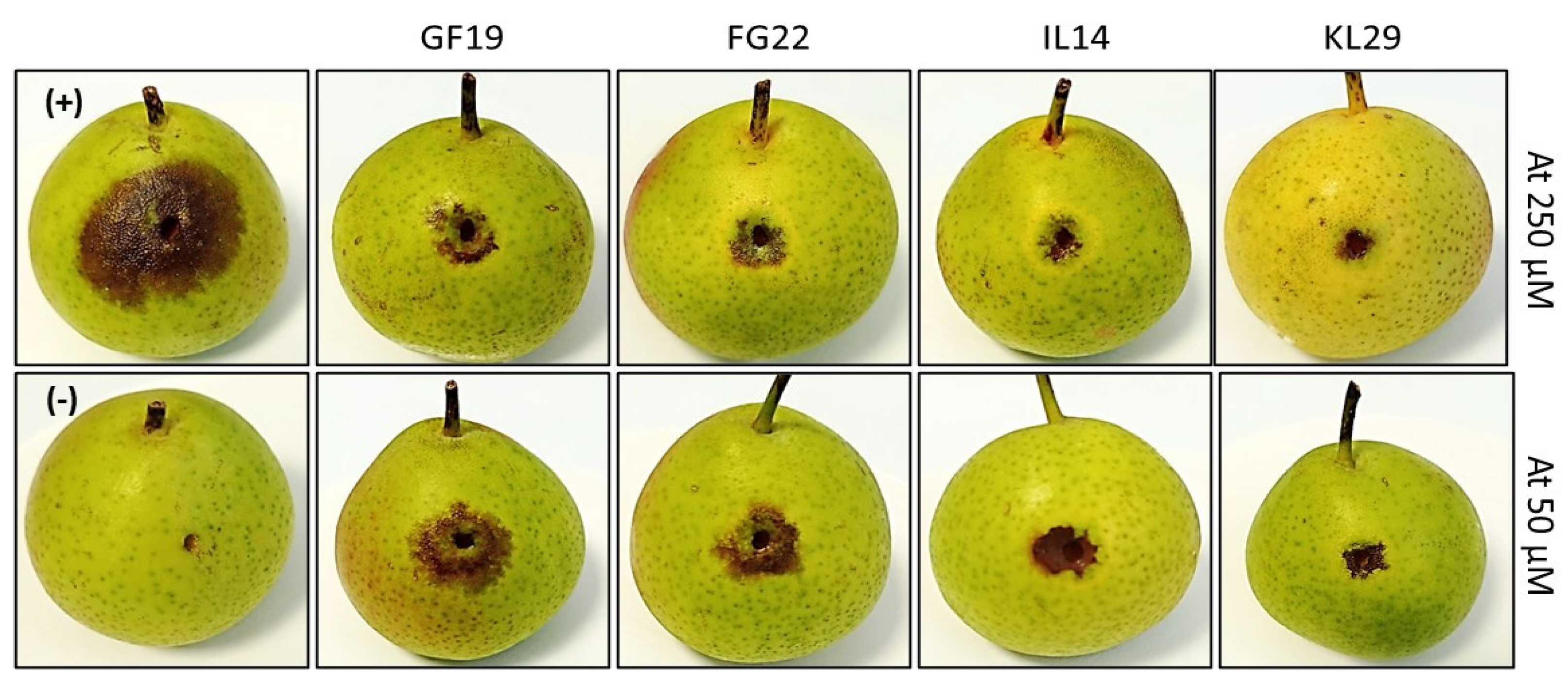 Plants 12 00113 g009