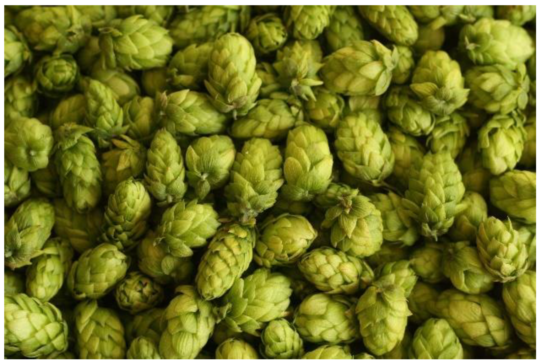 Plants 12 00120 g001