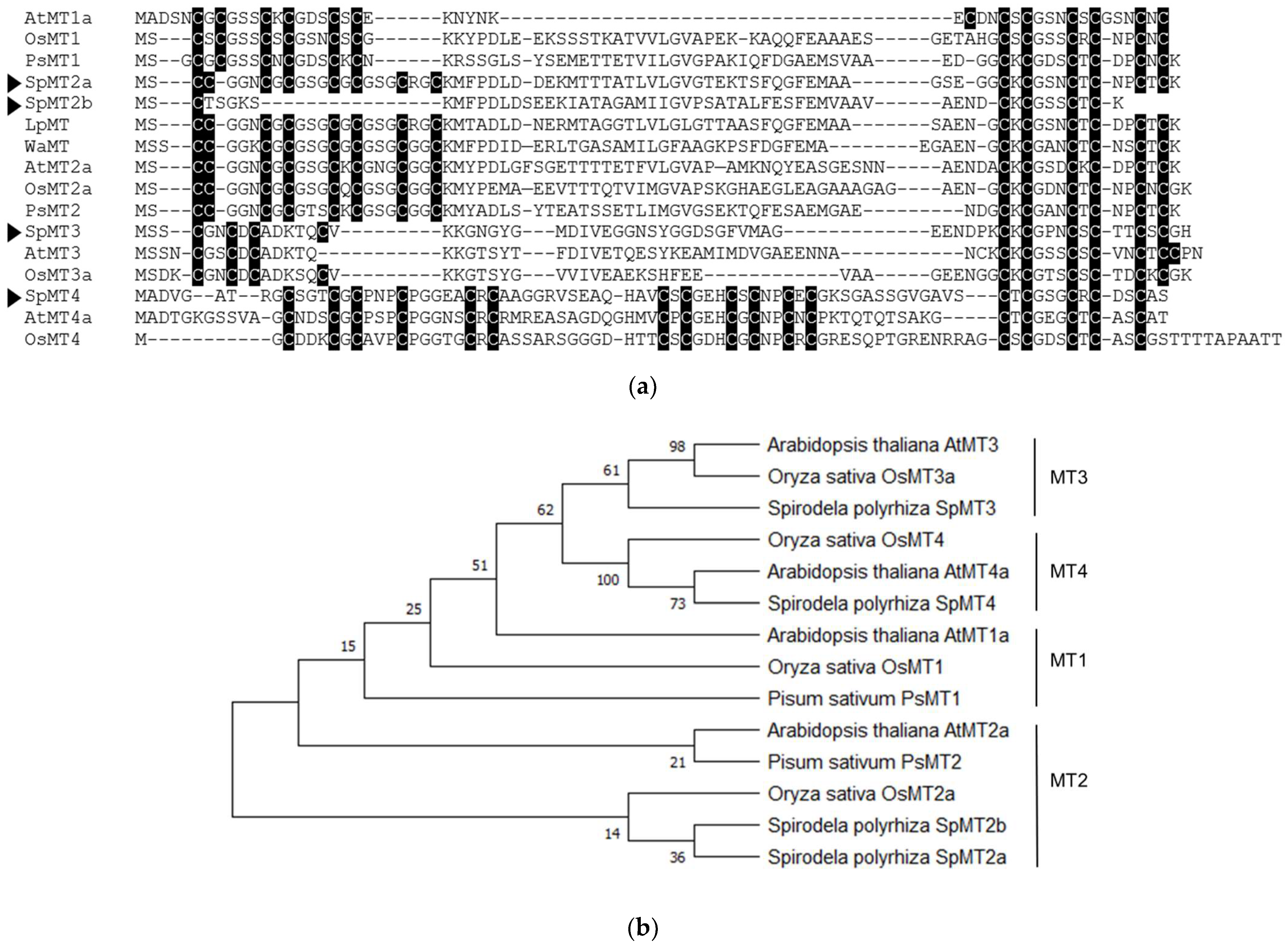 Plants 12 00125 g001