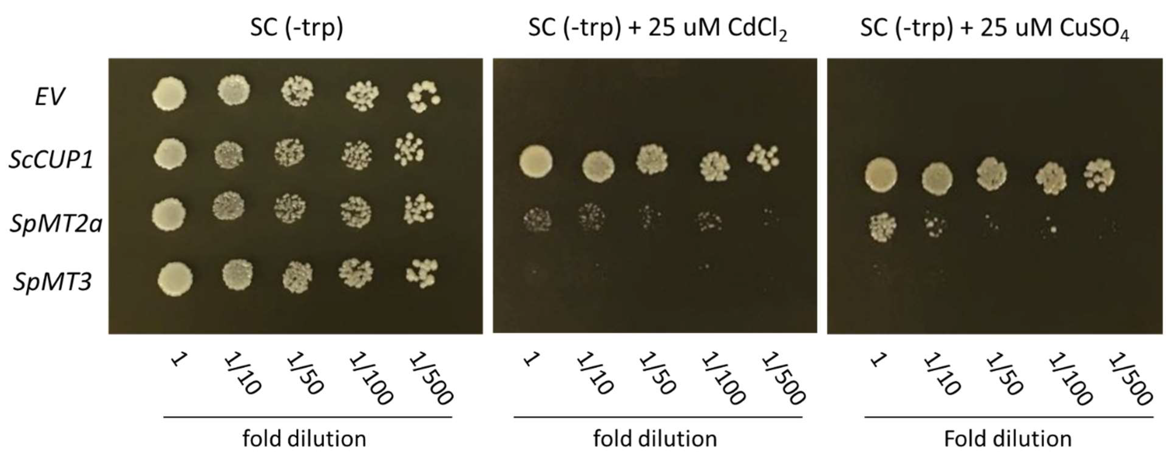 Plants 12 00125 g004