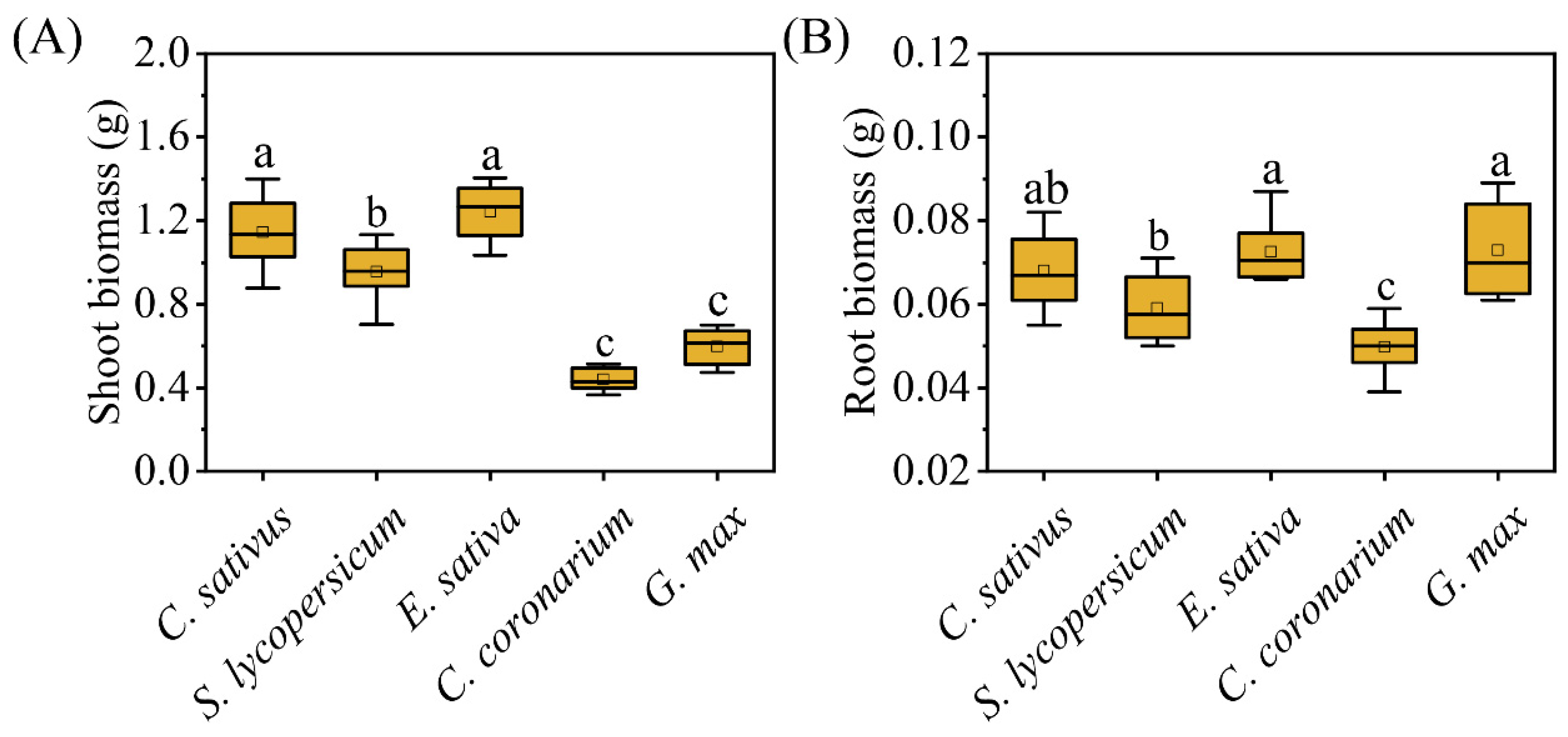 Plants 12 00139 g005 Plants 12 00139 g005