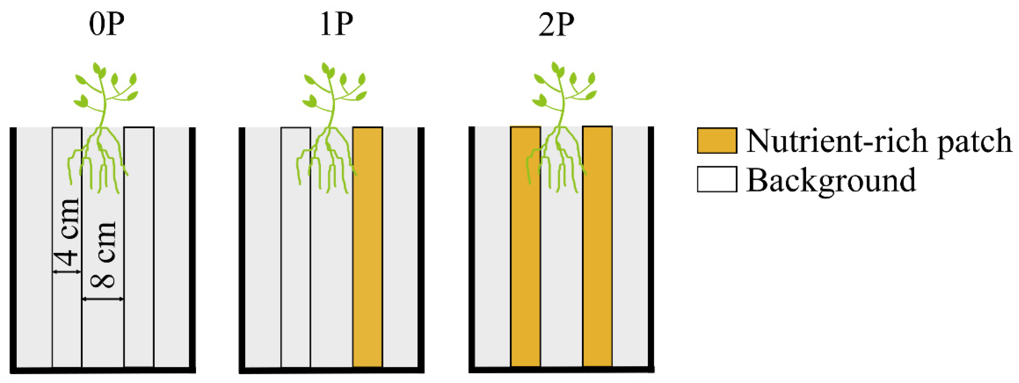 Plants 12 00139 g007 Plants 12 00139 g007