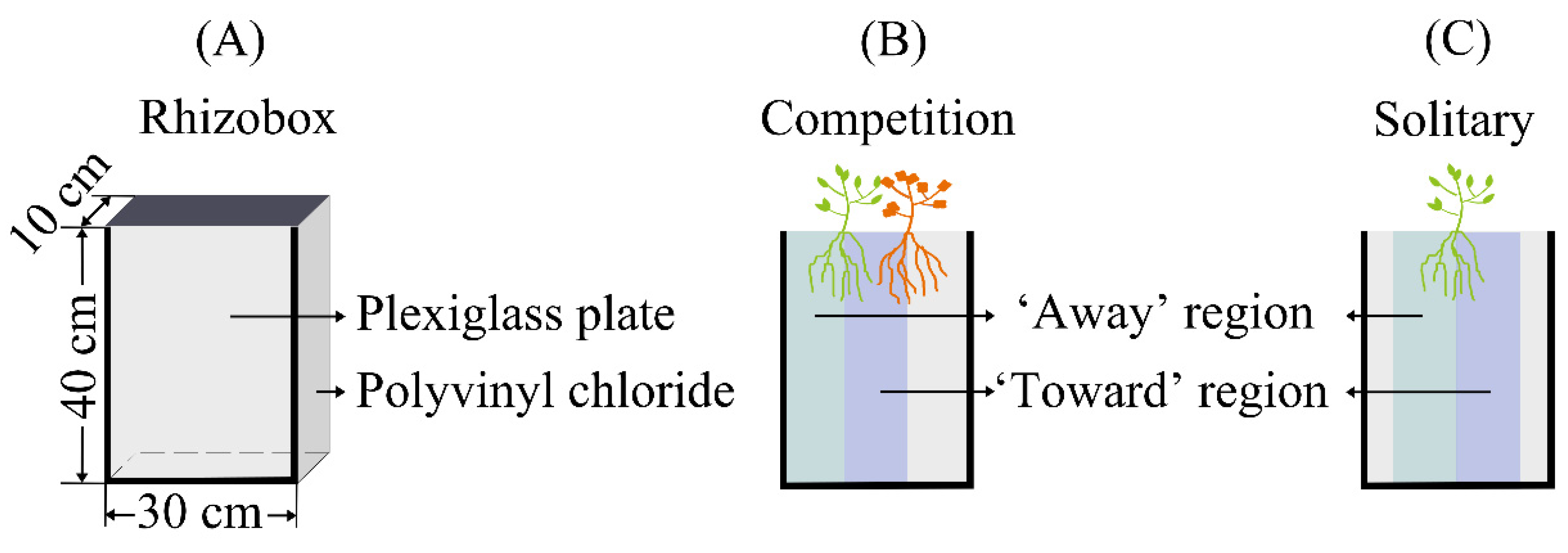 Plants 12 00139 g008 Plants 12 00139 g008